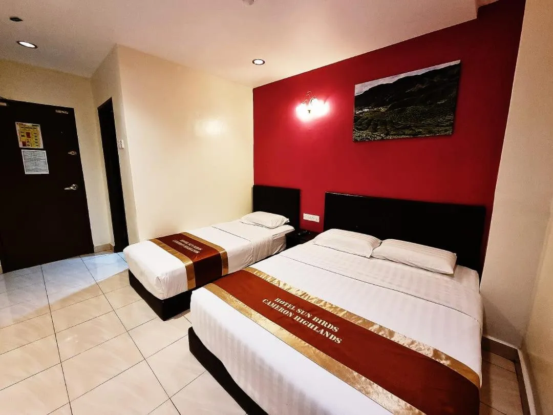 Bed in Hotel Sun Birds