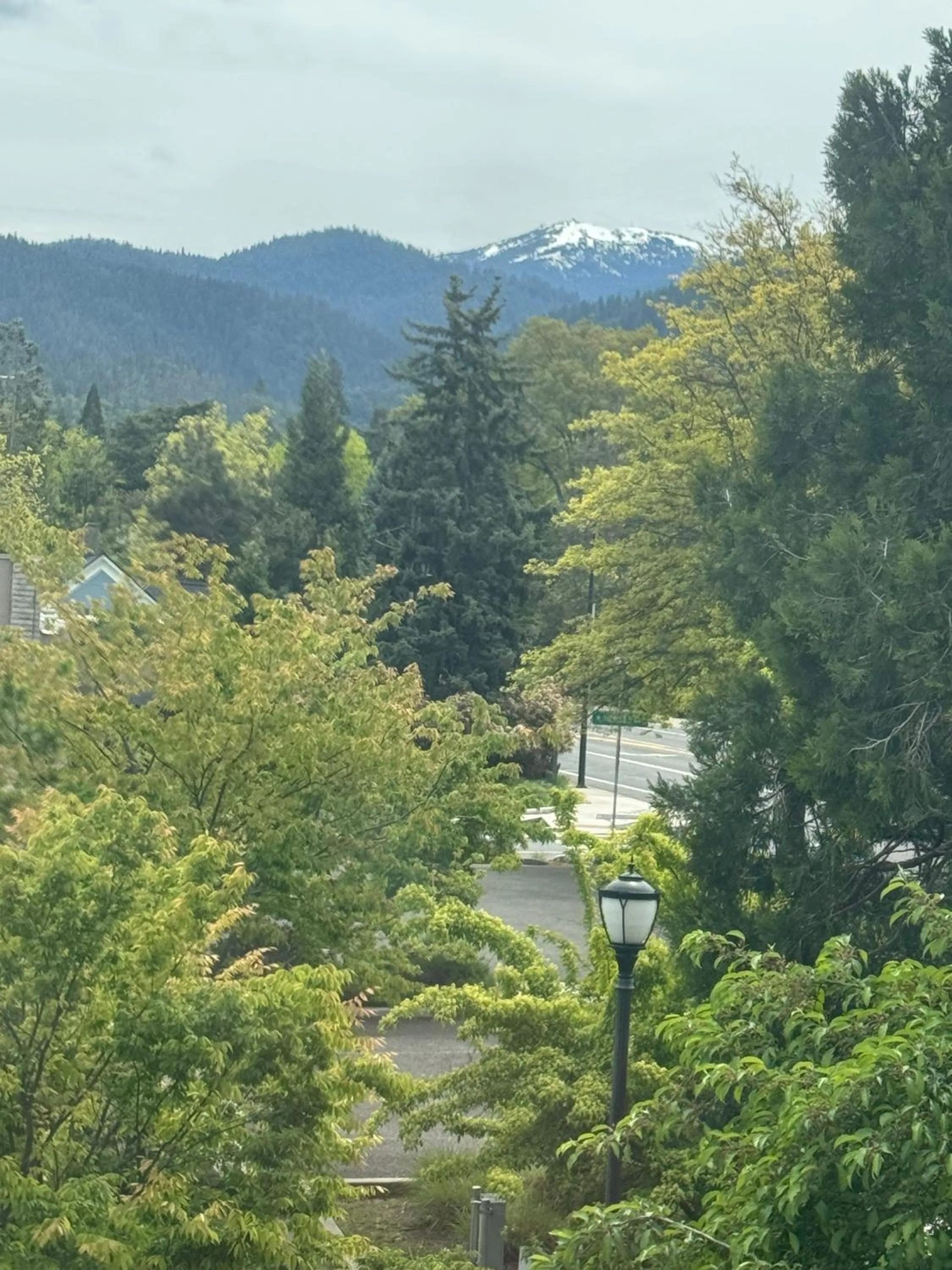 Mountain view in Bayberry Inn B&B and Oregon Wellness Retreat