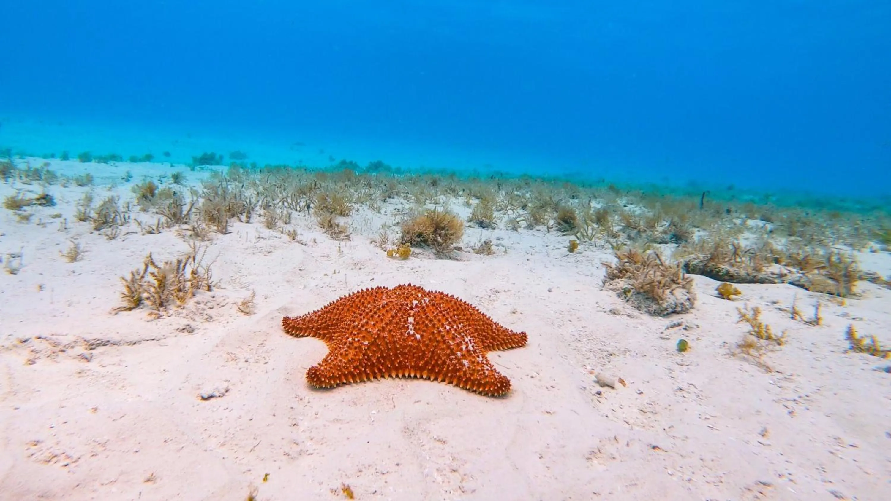 Natural landscape in Hotel Puerto Libre