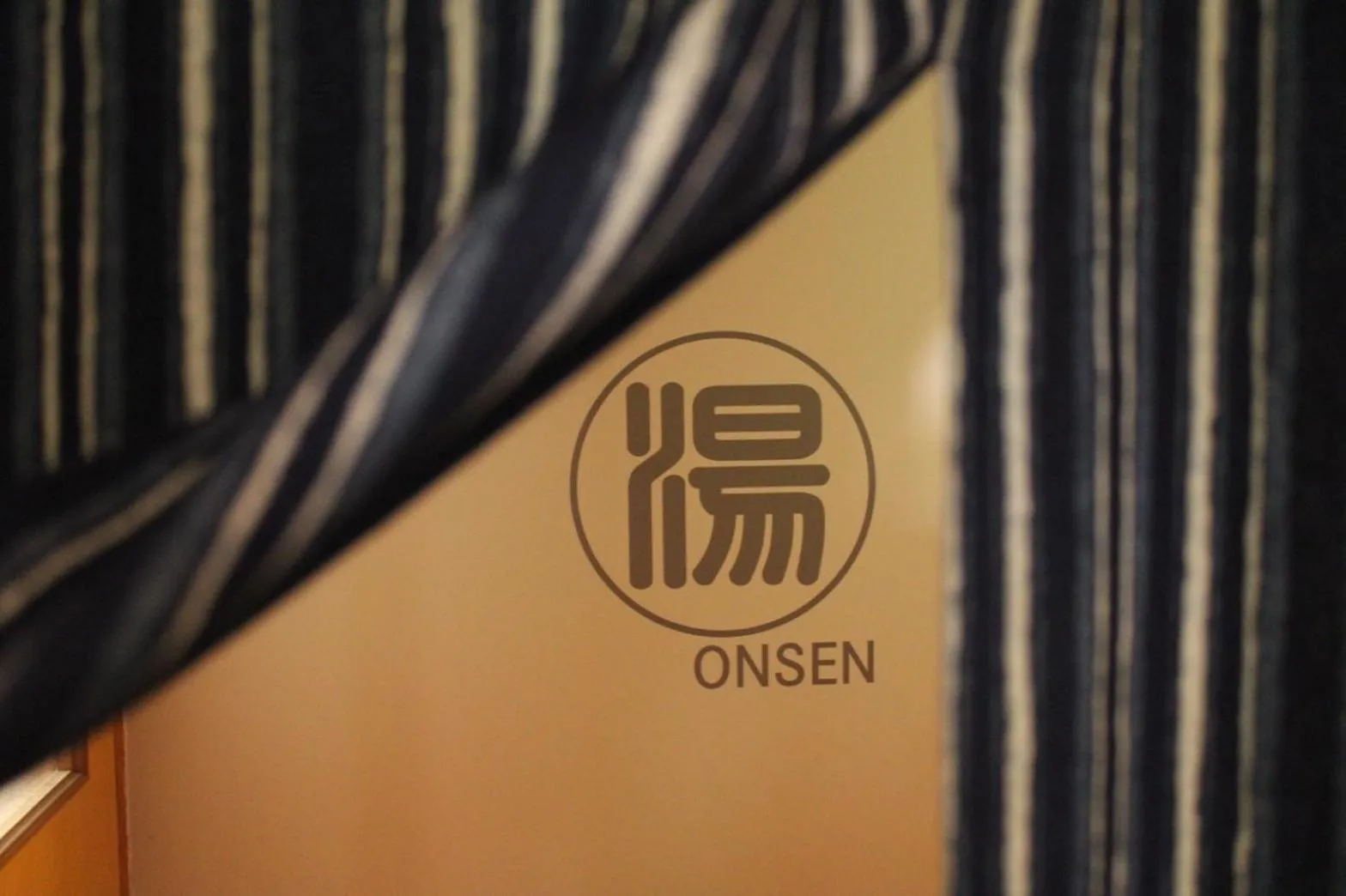 Hot Spring Bath in Hakonowa