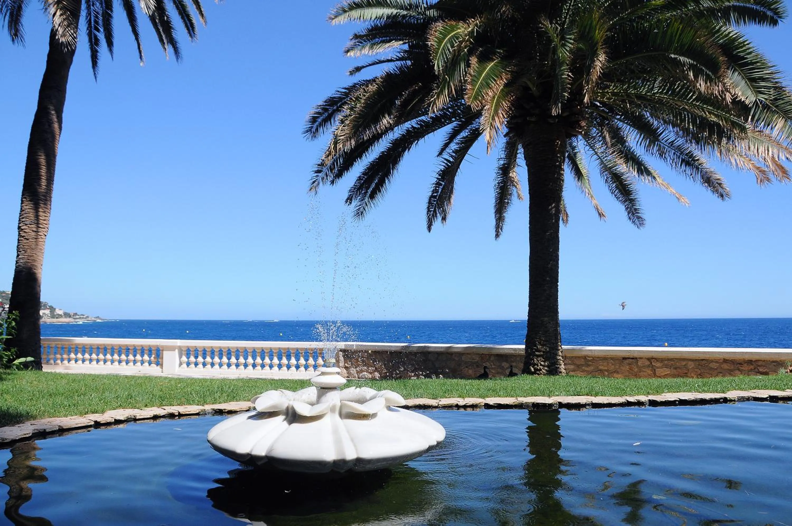 Garden in Hotel Cap Estel