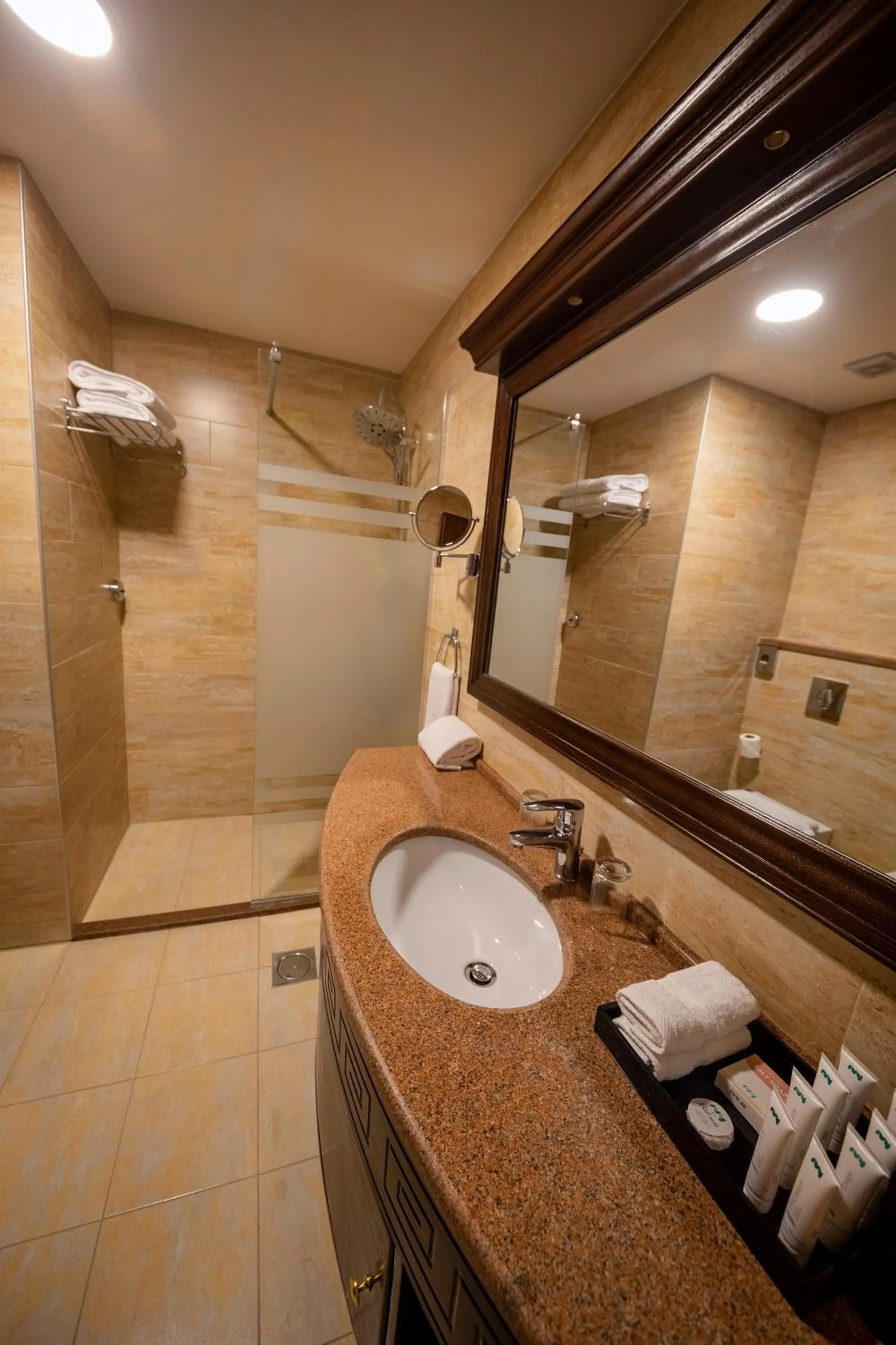 Bathroom in Petra Canyon Hotel