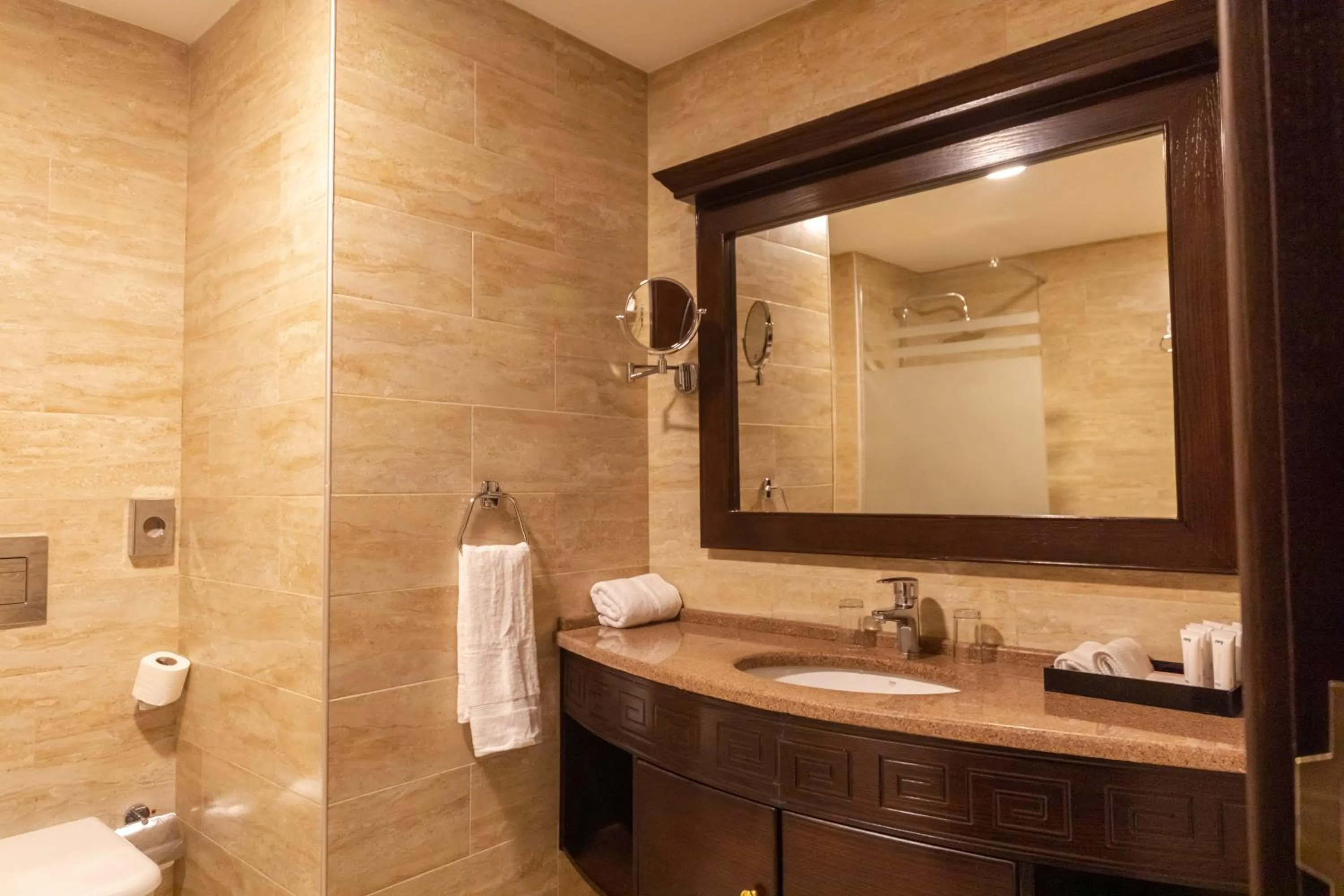 Bathroom in Petra Canyon Hotel