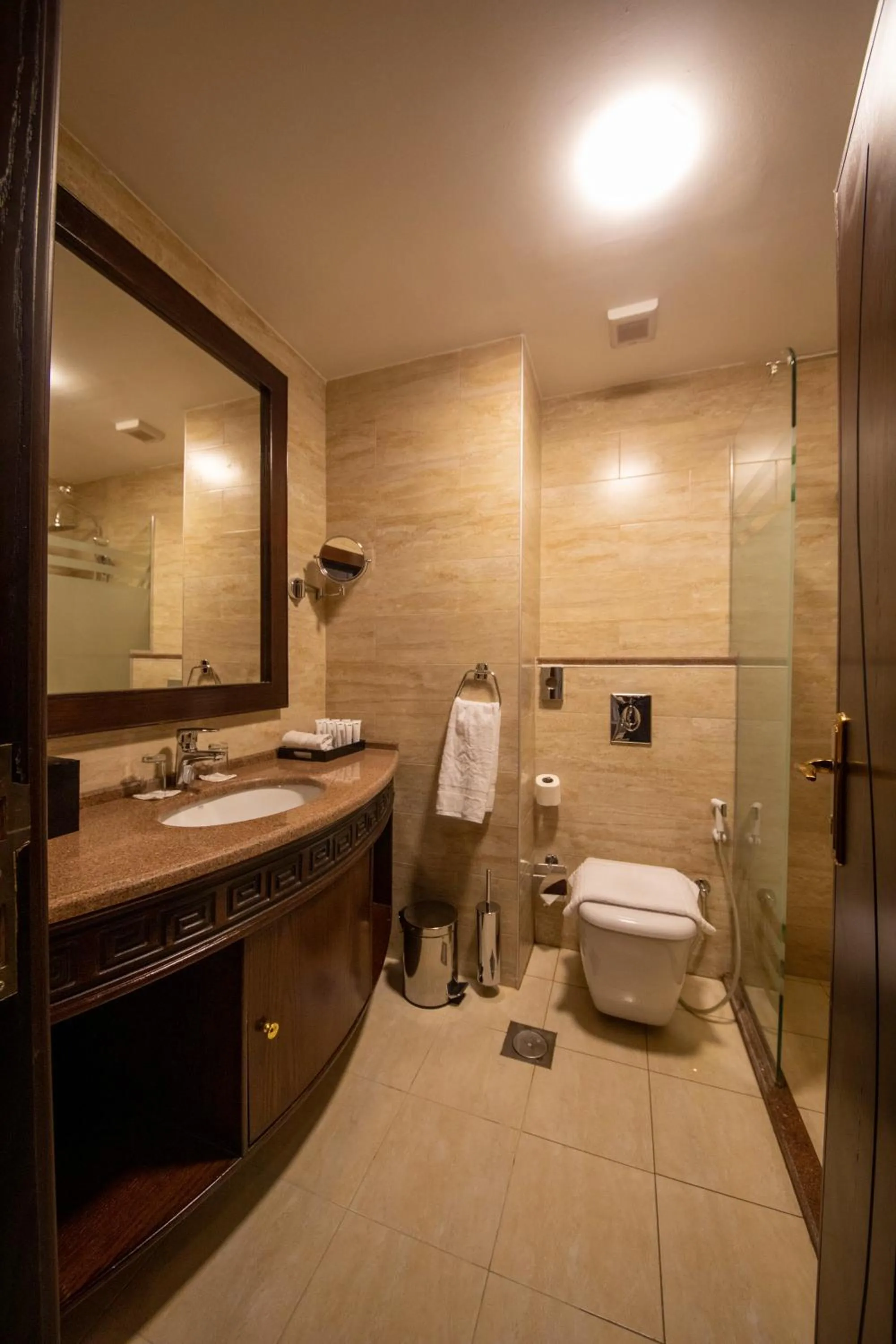 Bathroom in Petra Canyon Hotel