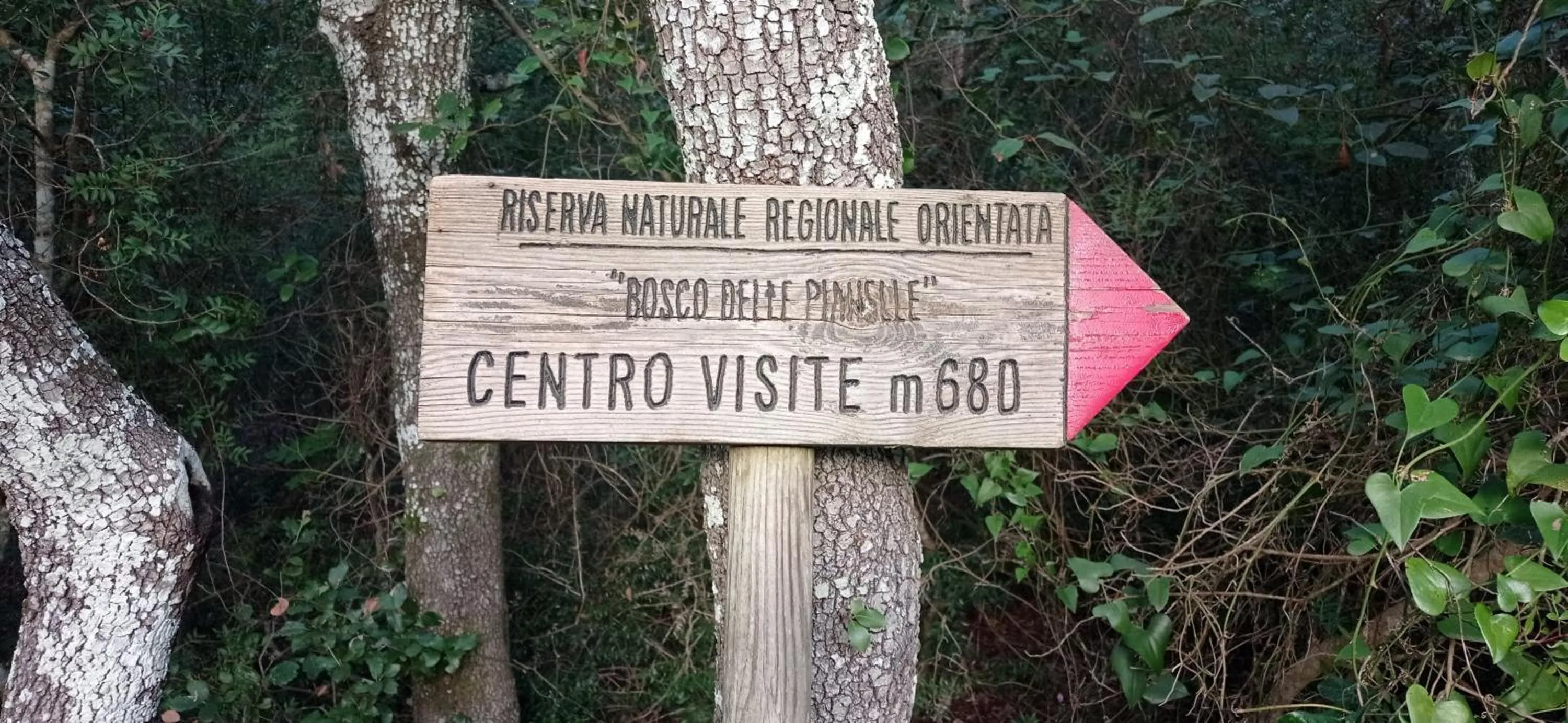 Natural landscape in Dimora Pianelle