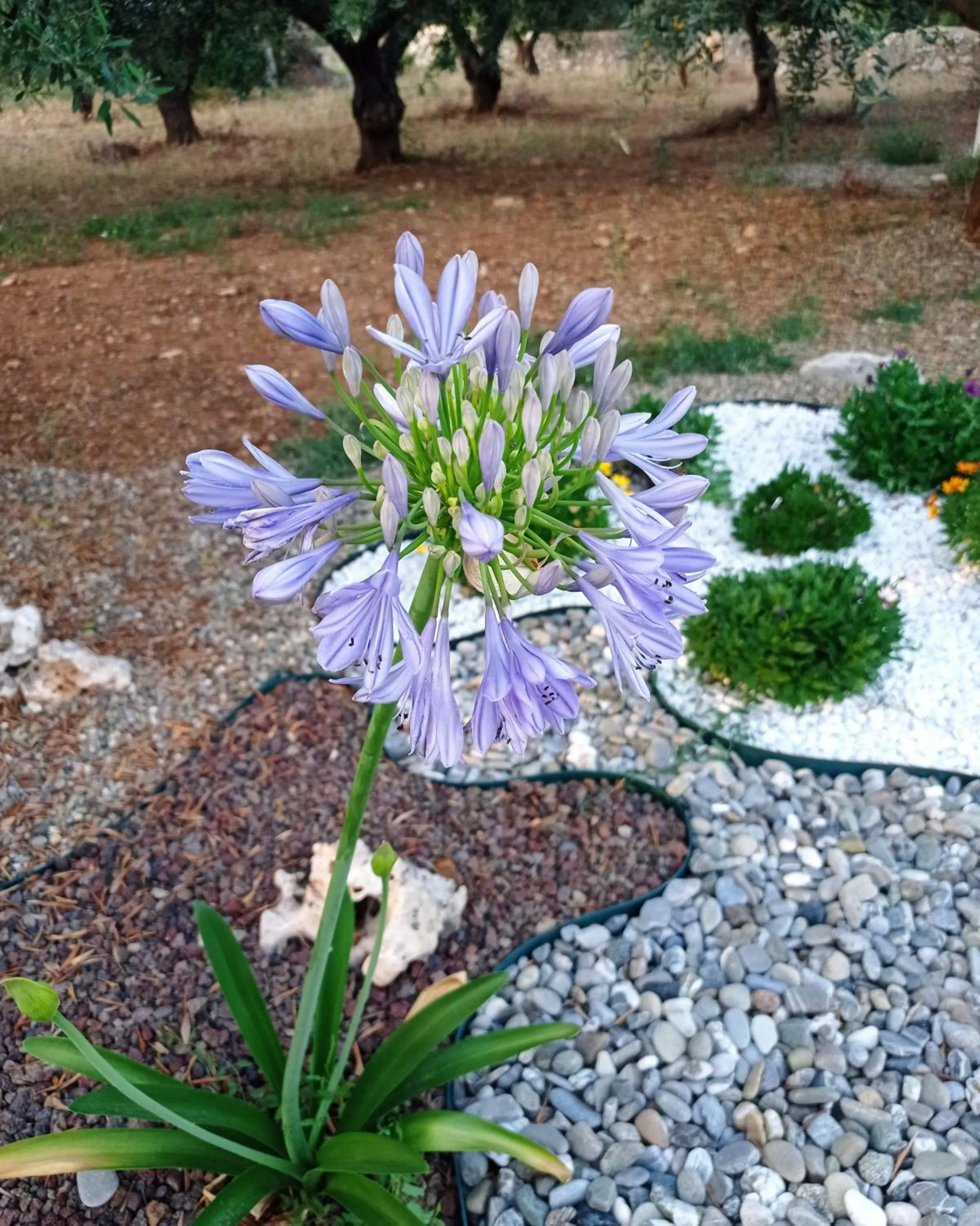 Garden in Dimora Pianelle