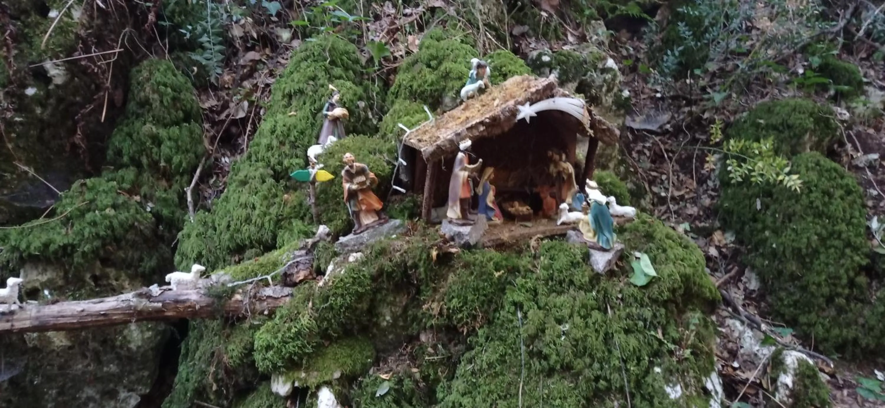 Natural landscape in Dimora Pianelle