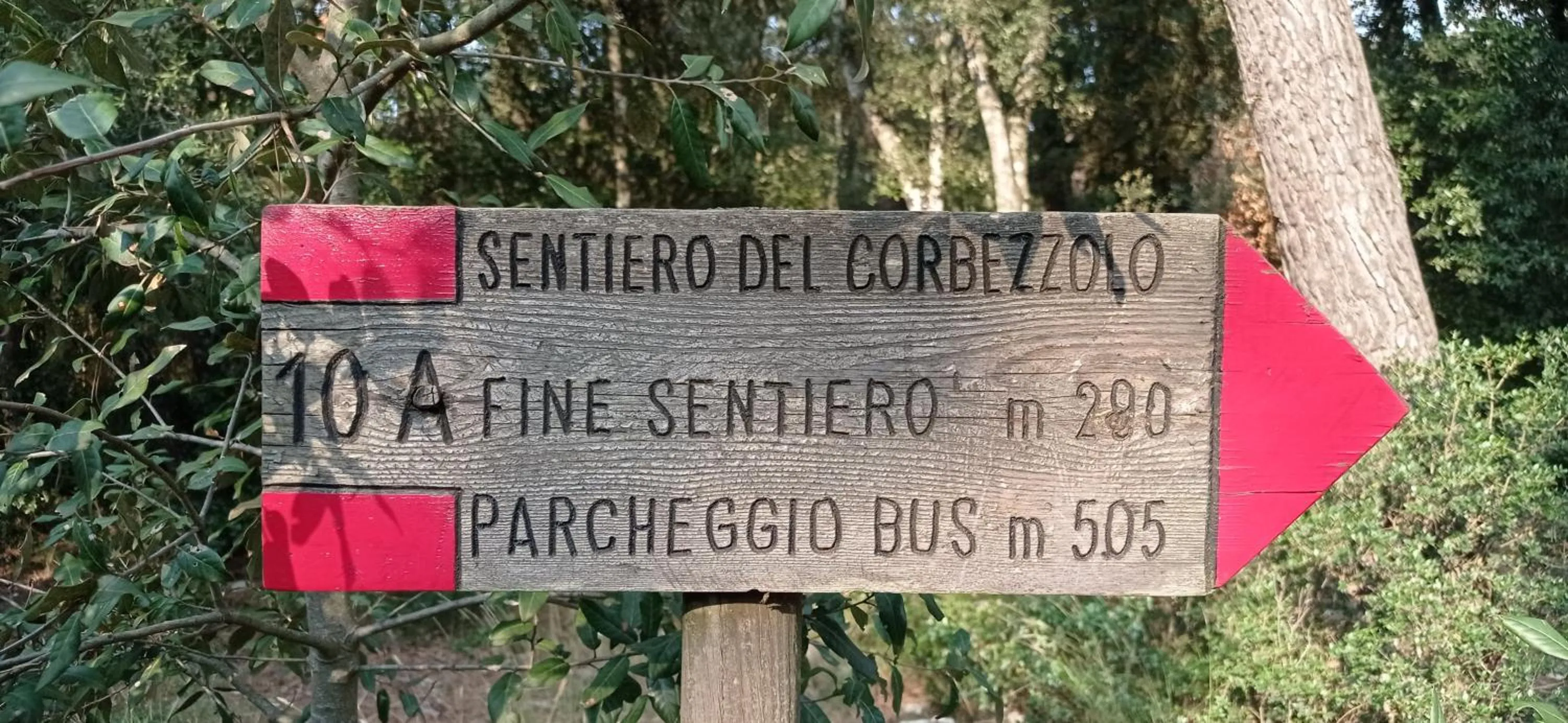 Natural landscape in Dimora Pianelle