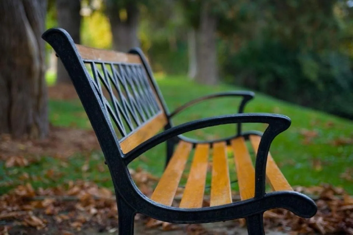 Natural landscape in Guest House on the Mount