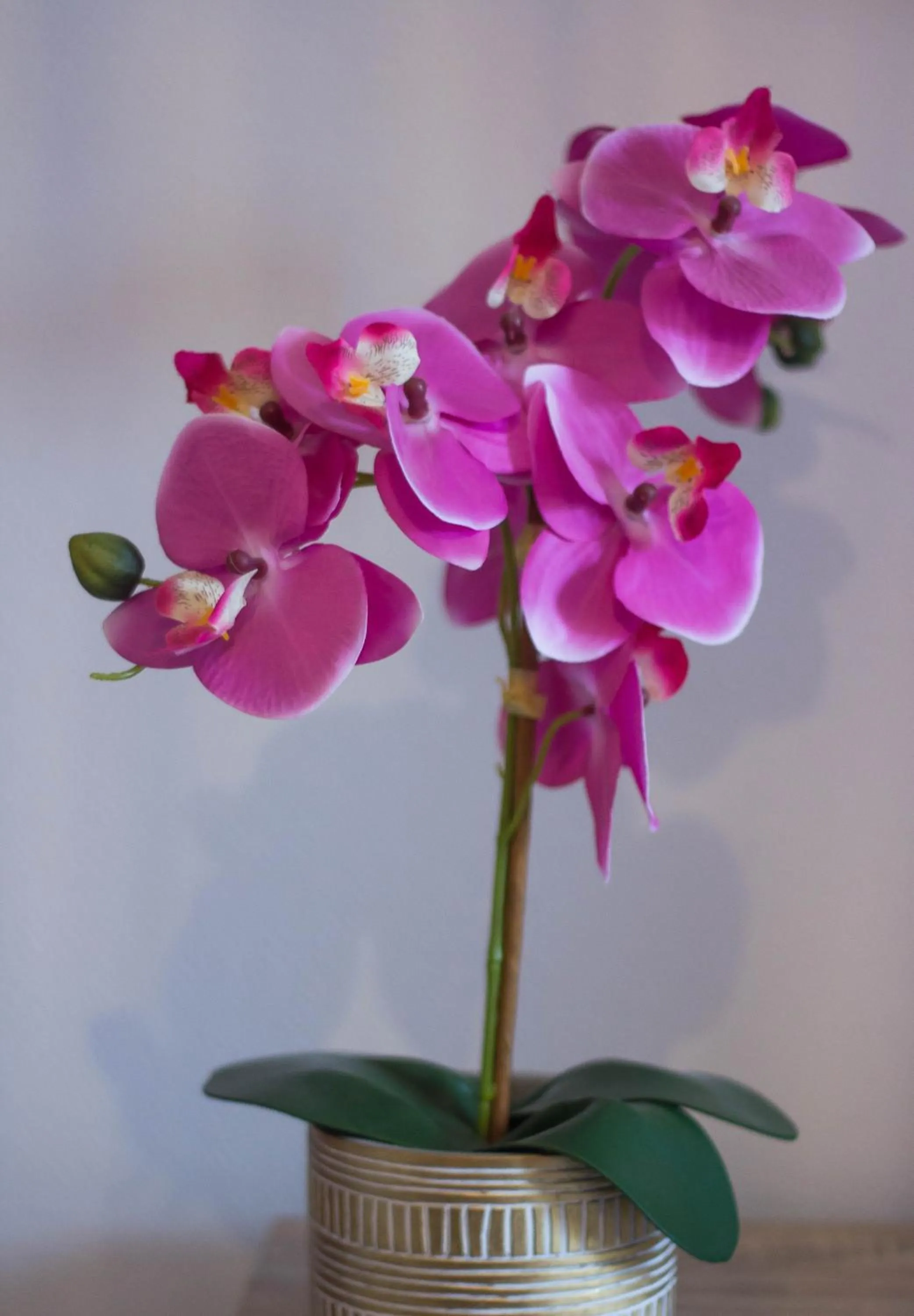 Les chambres touristique Juléa