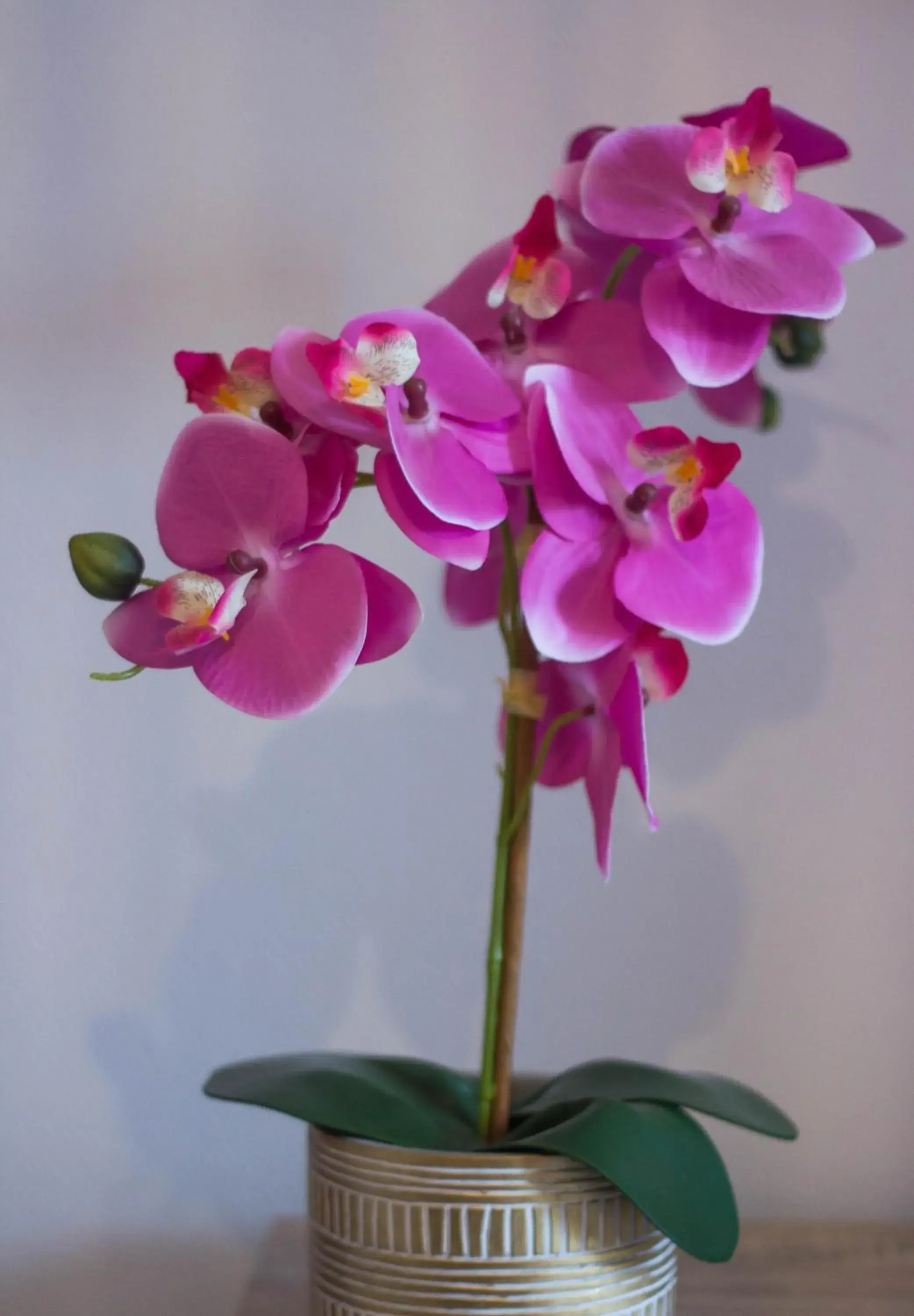 Triple Room with Private Bathroom in Les chambres touristique Juléa Triple Room with Private Bathroom in Les chambres touristique Juléa