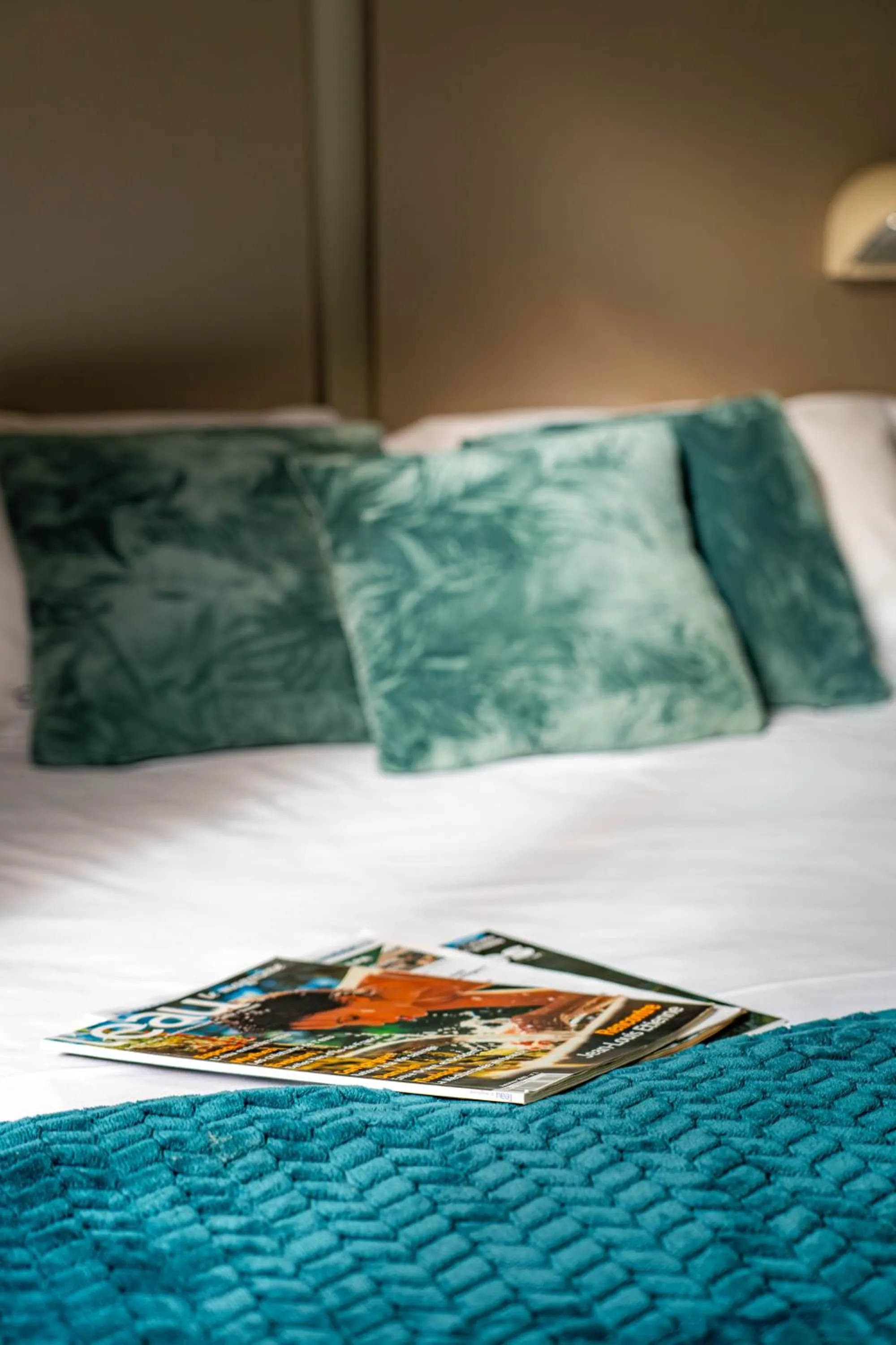 Bed in Hôtel du Musée de l'Eau