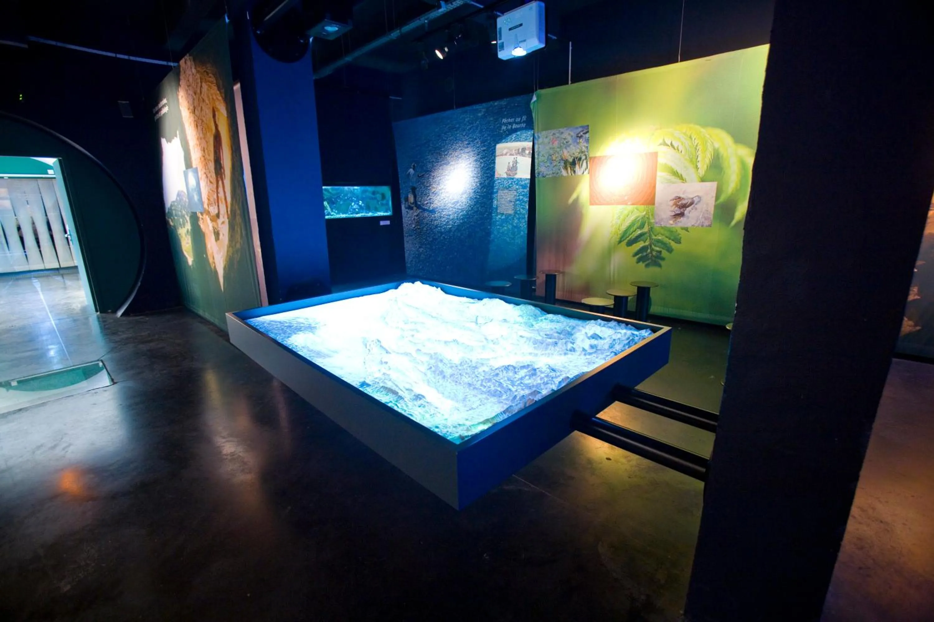 Entertainment in Hôtel du Musée de l'Eau