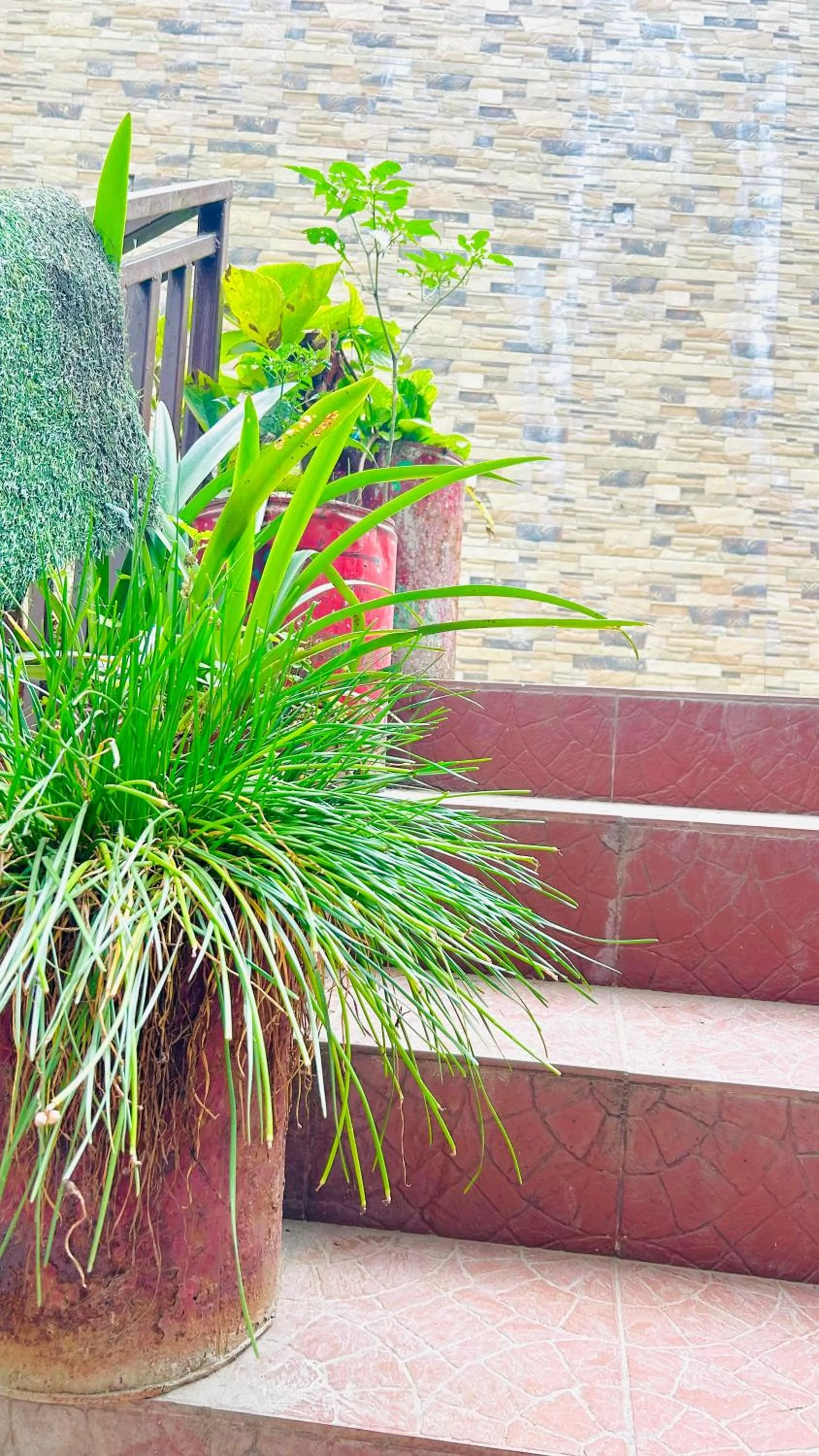 Garden in HANU VATIKA The FAMILY CHOICE