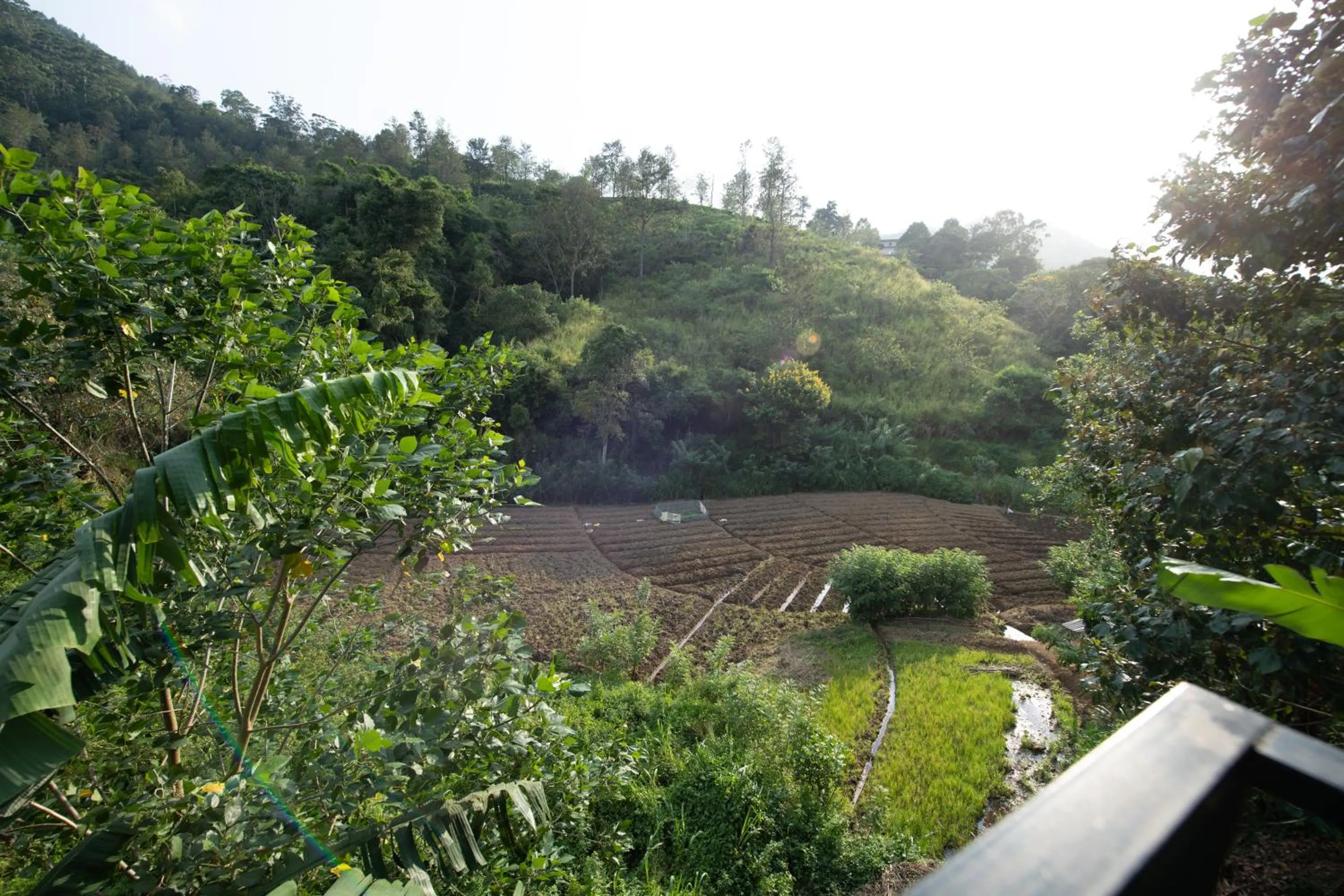 Ayubo Ella - Bed & Breakfast