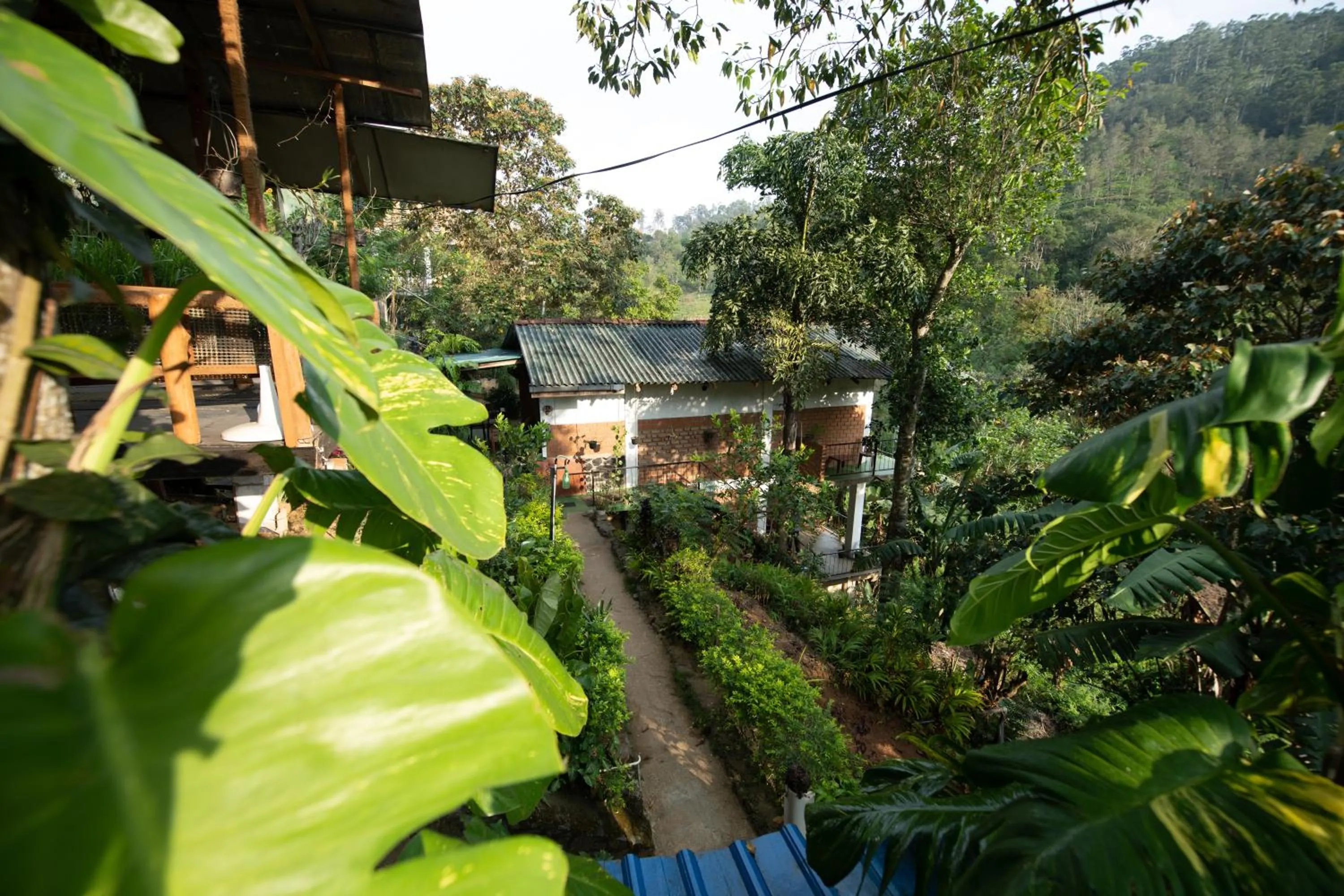 Ayubo Ella - Bed & Breakfast