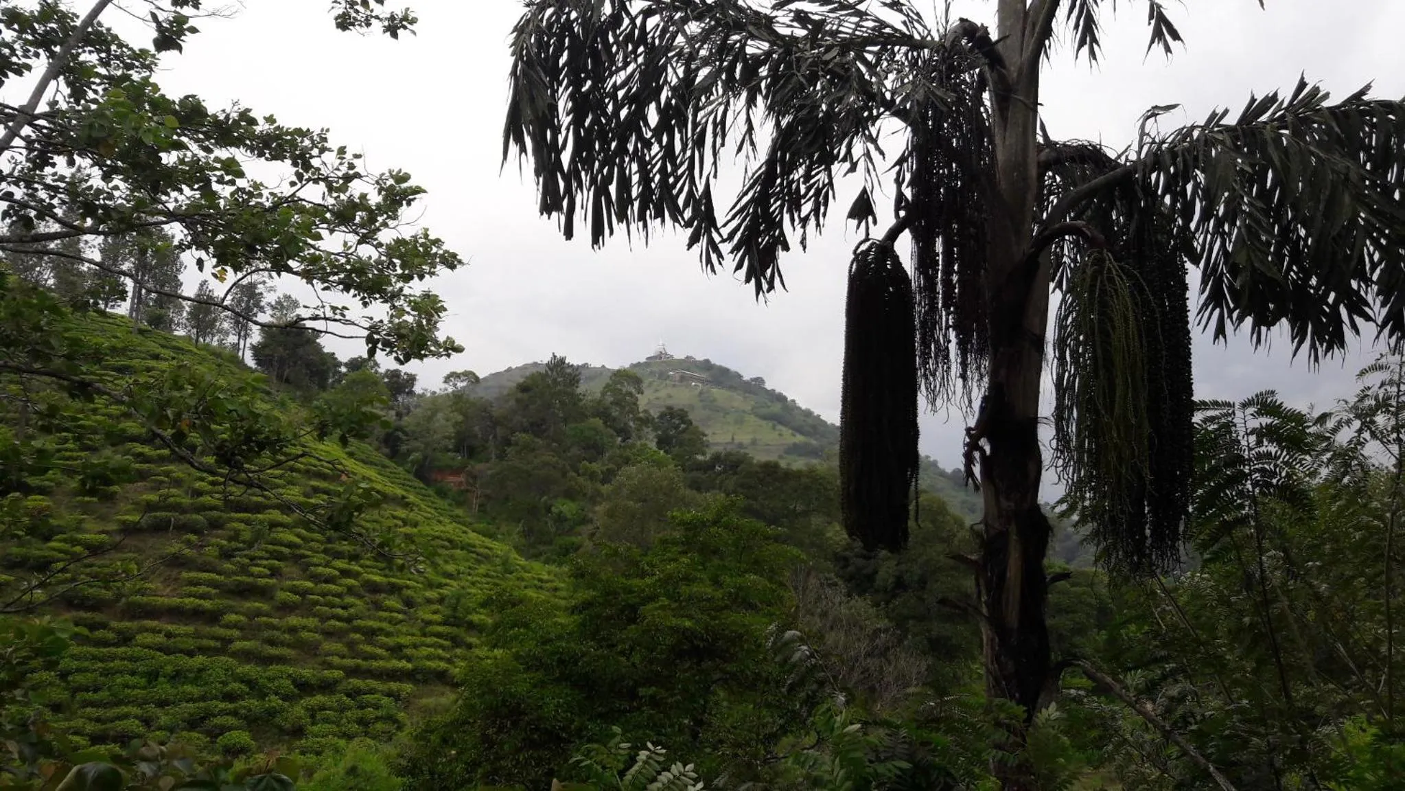 View (from property/room) in Ayubo Ella - Bed & Breakfast