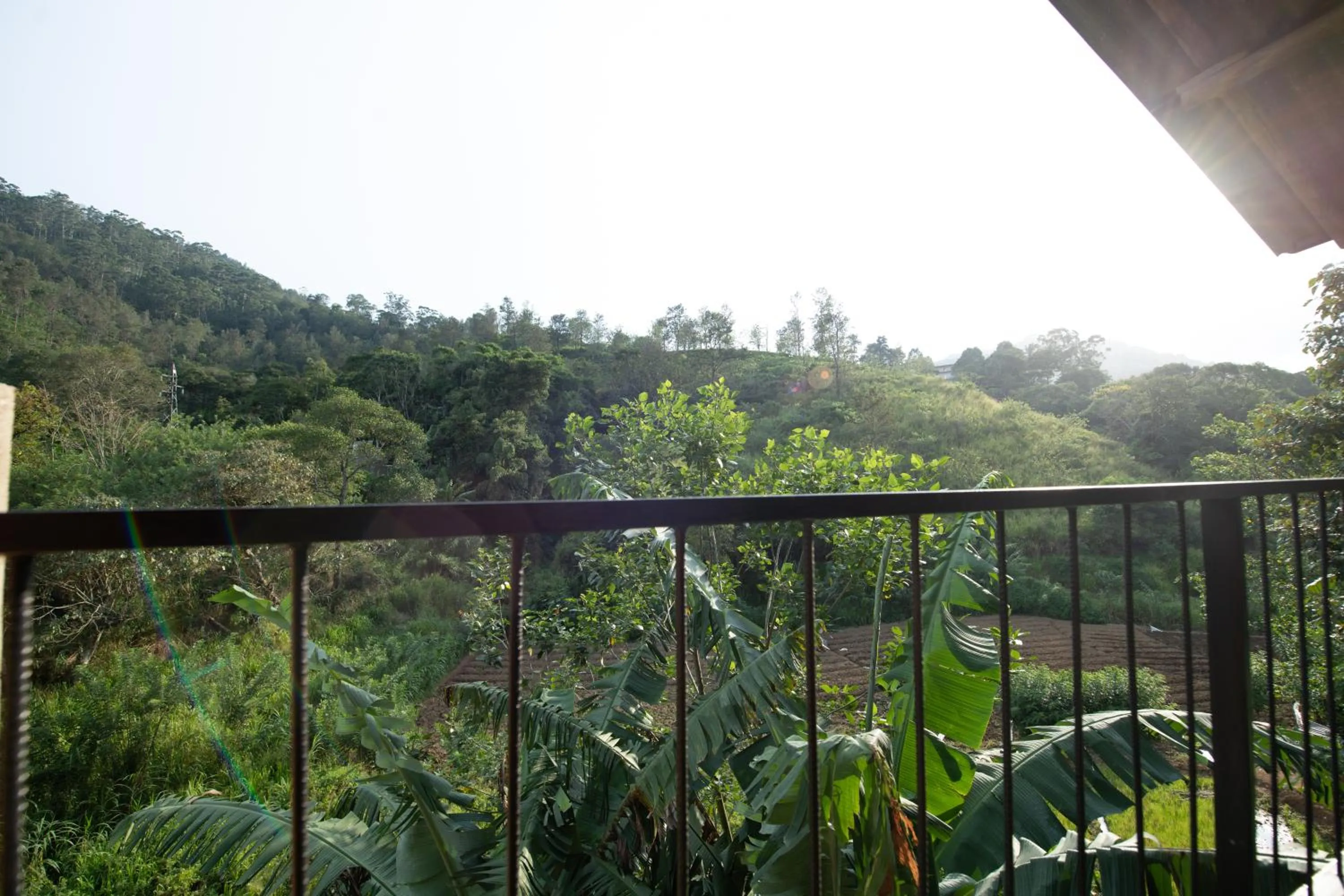 Ayubo Ella - Bed & Breakfast