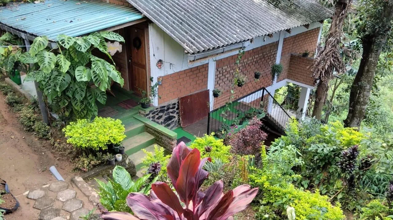 Ayubo Ella - Bed & Breakfast