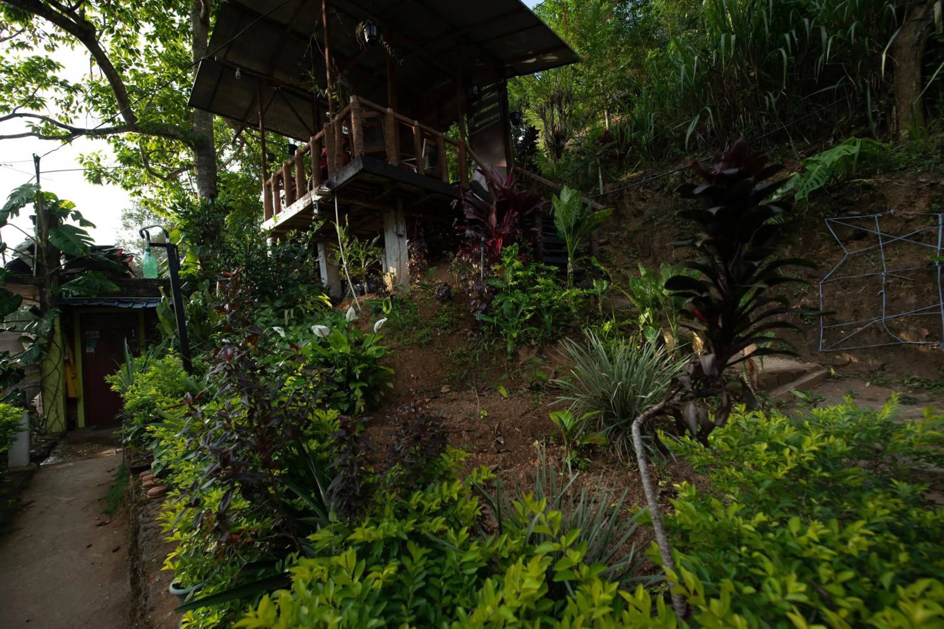 Ayubo Ella - Bed & Breakfast