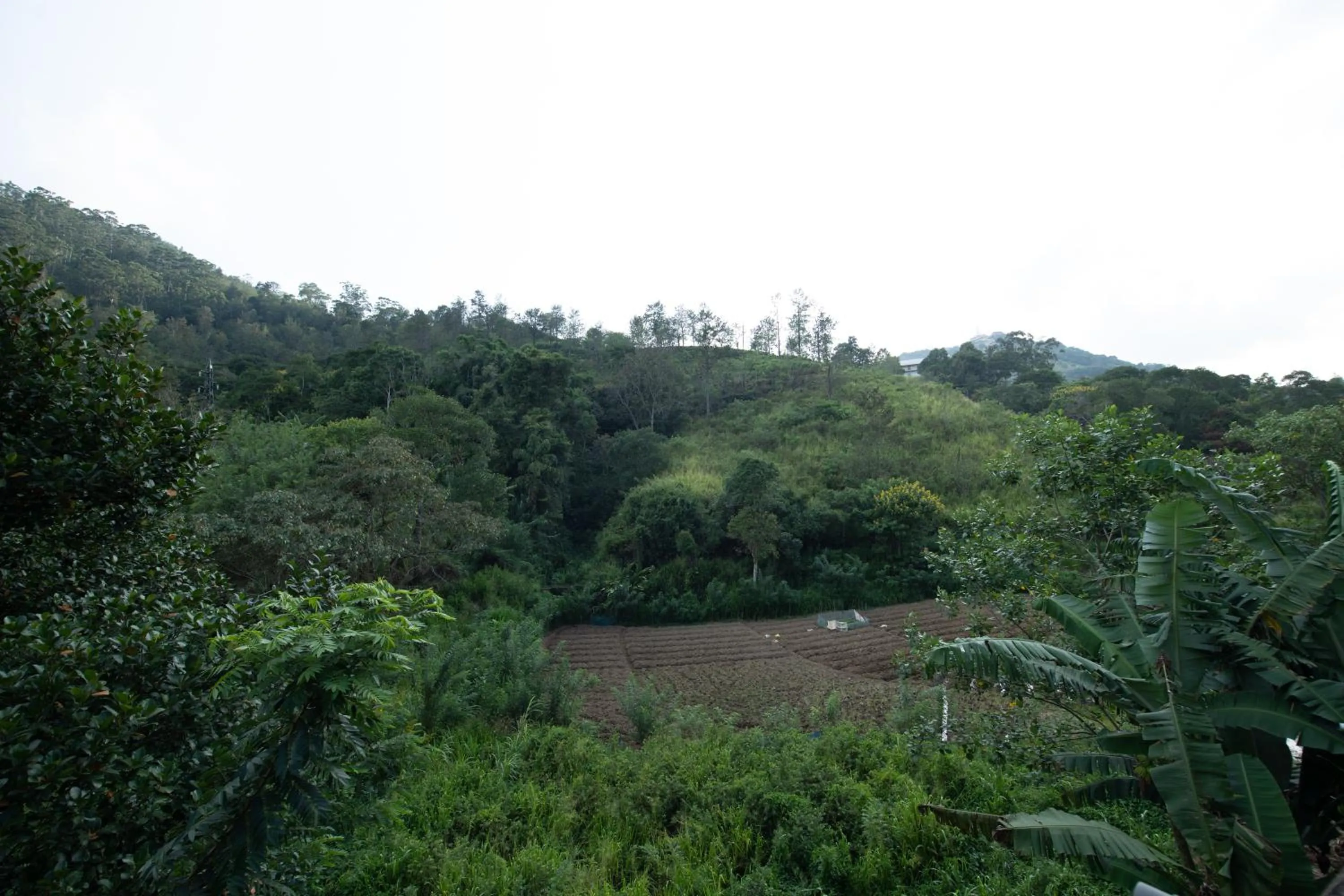 Ayubo Ella - Bed & Breakfast