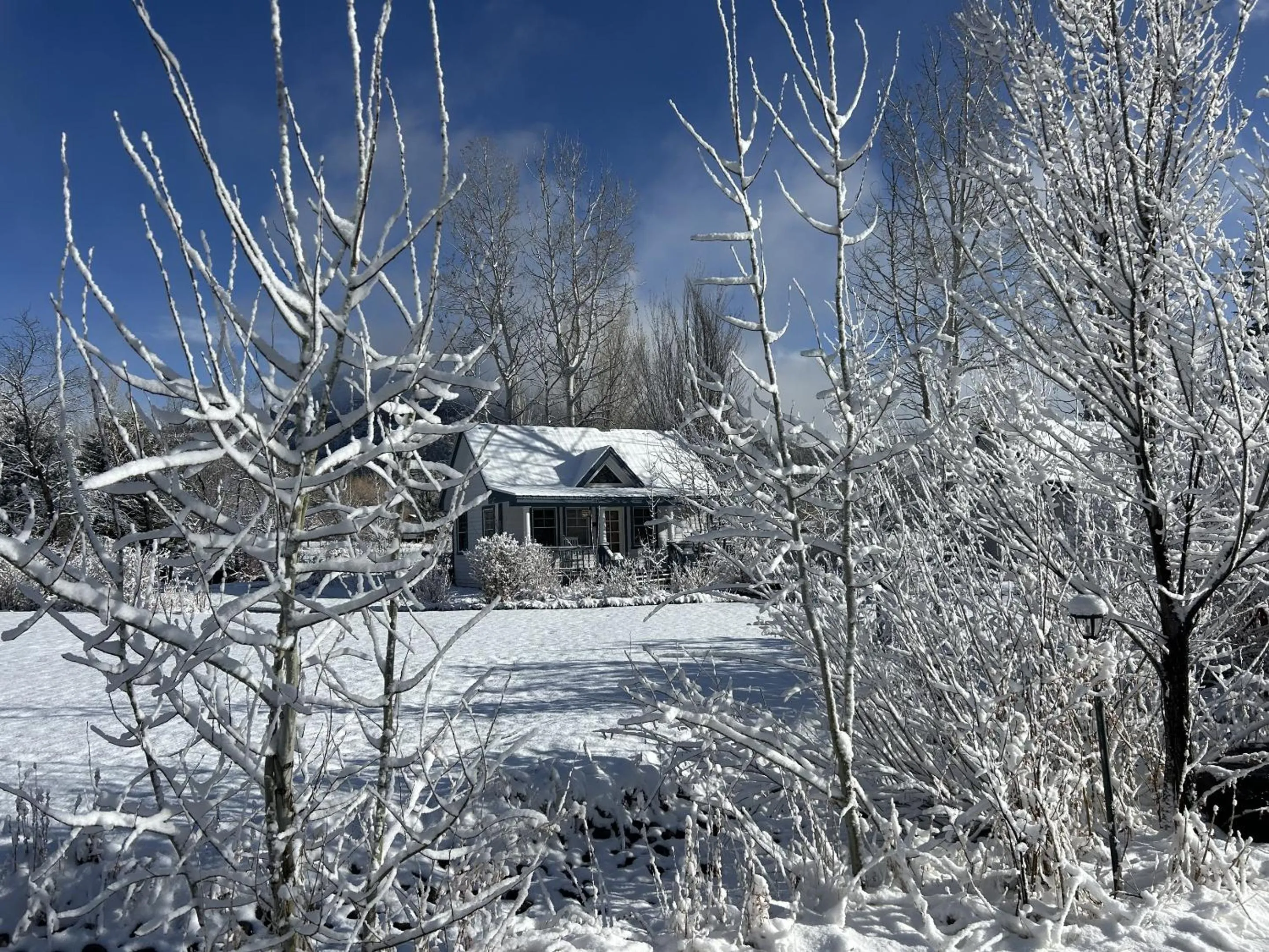 Garden in Apple Orchard Inn