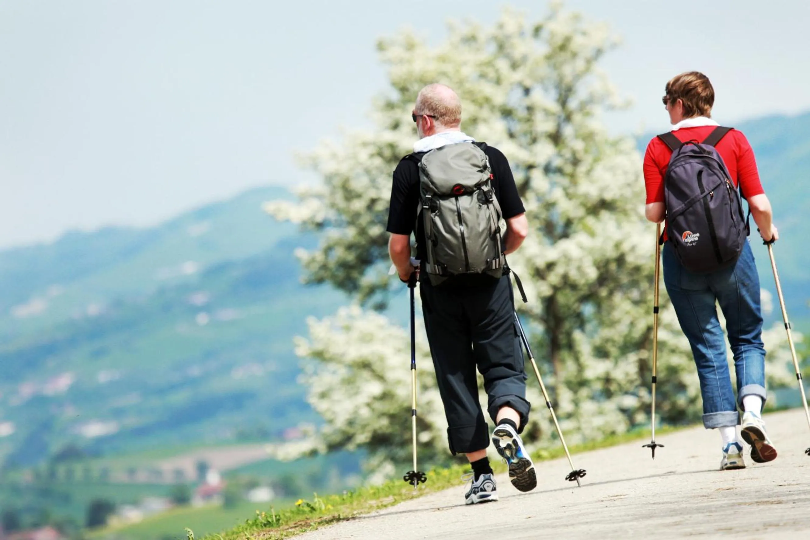 Hiking in Landhotel Gafringwirt