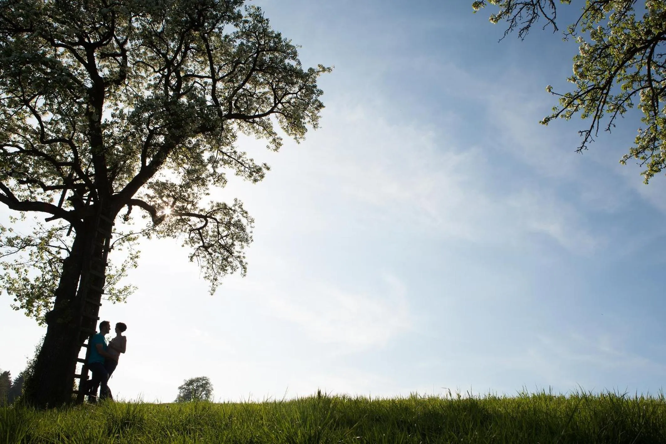 Natural landscape in Landhotel Gafringwirt