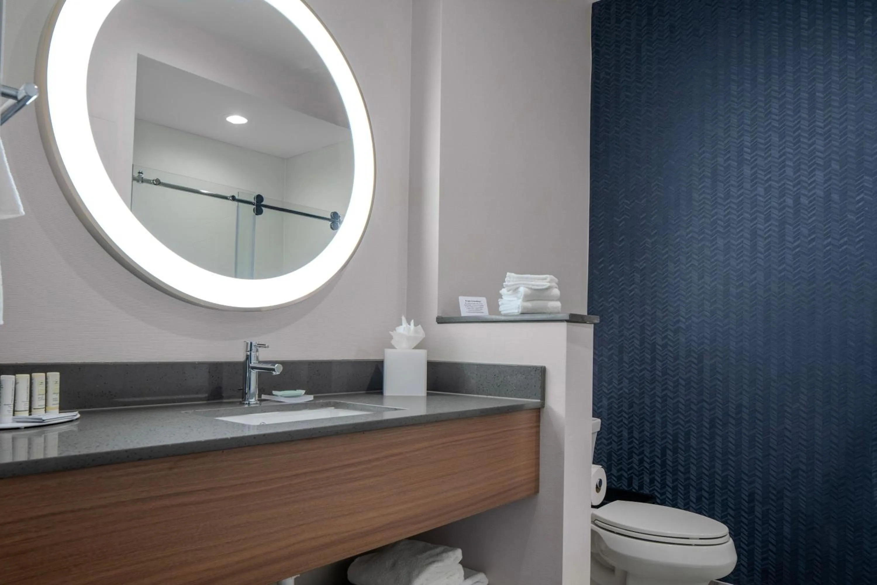 Bathroom in Fairfield by Marriott Inn & Suites Dallas McKinney