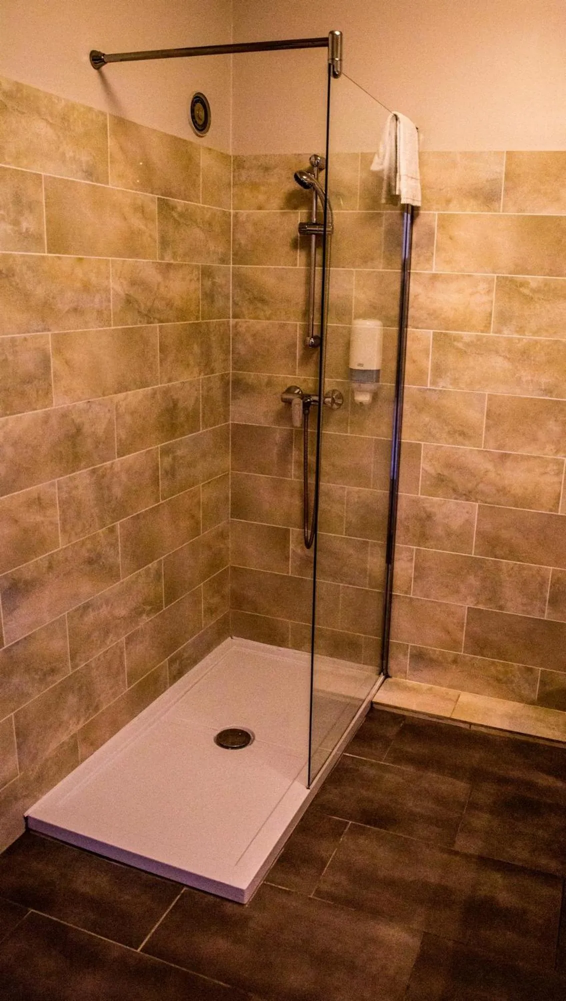 Shower in Hôtel Albion