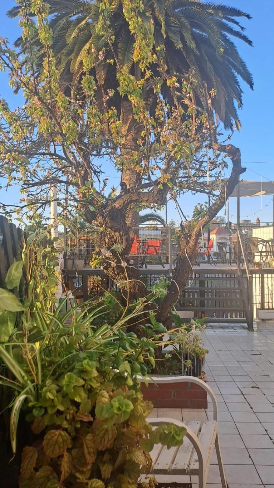 Off site in Hotel 251