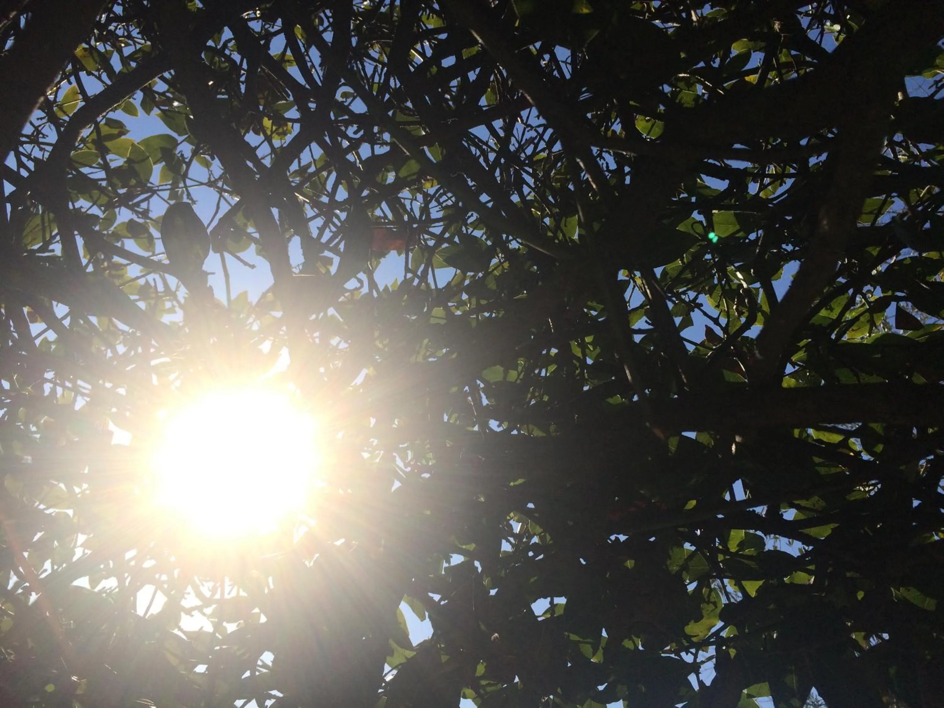 Decorative detail in Mas de Vence - Hotel-Restaurant