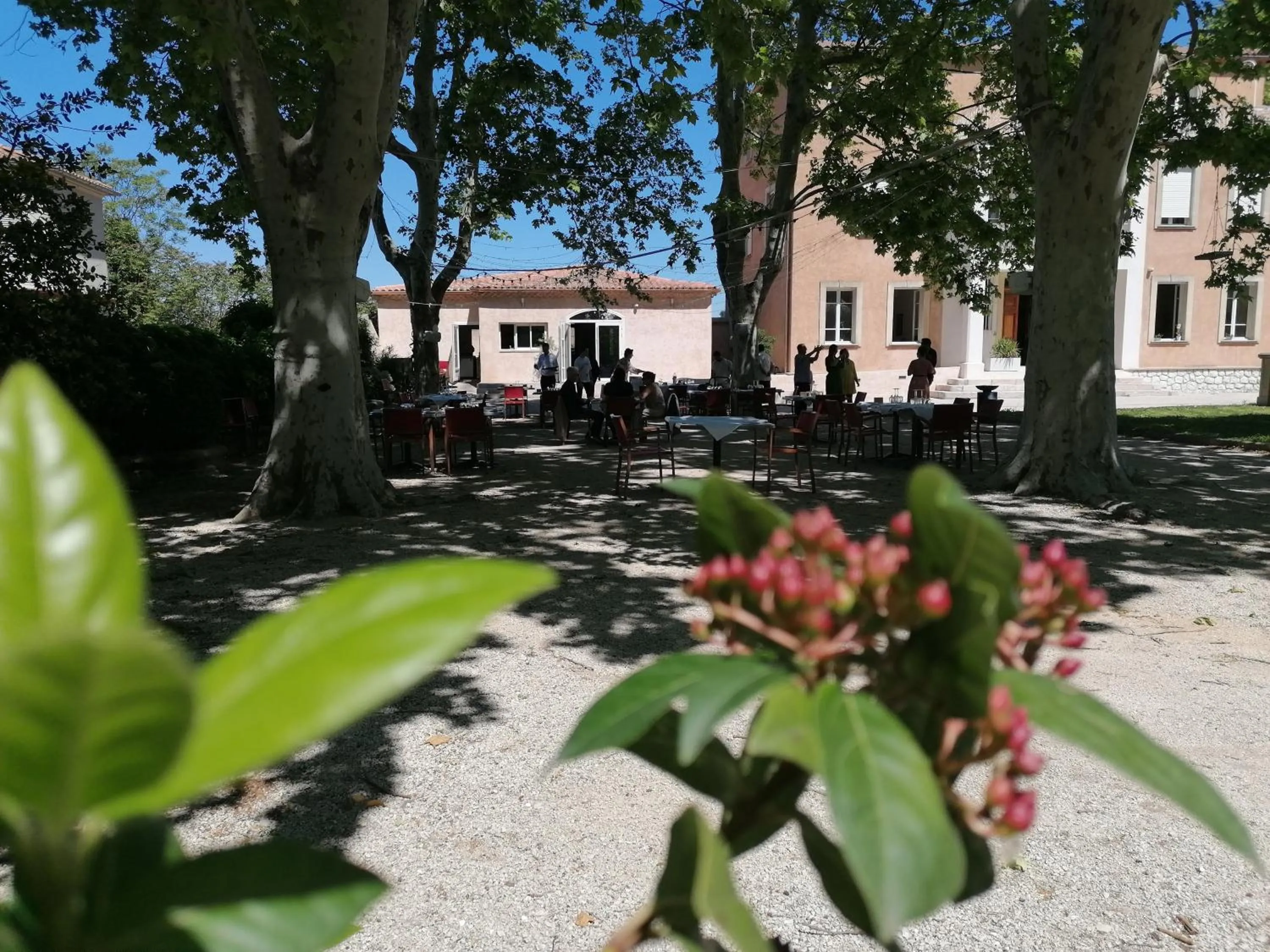 Restaurant/places to eat in DOMAINE DE LA NERTHE- HOTEL PROVENCE MEDITERRANEE