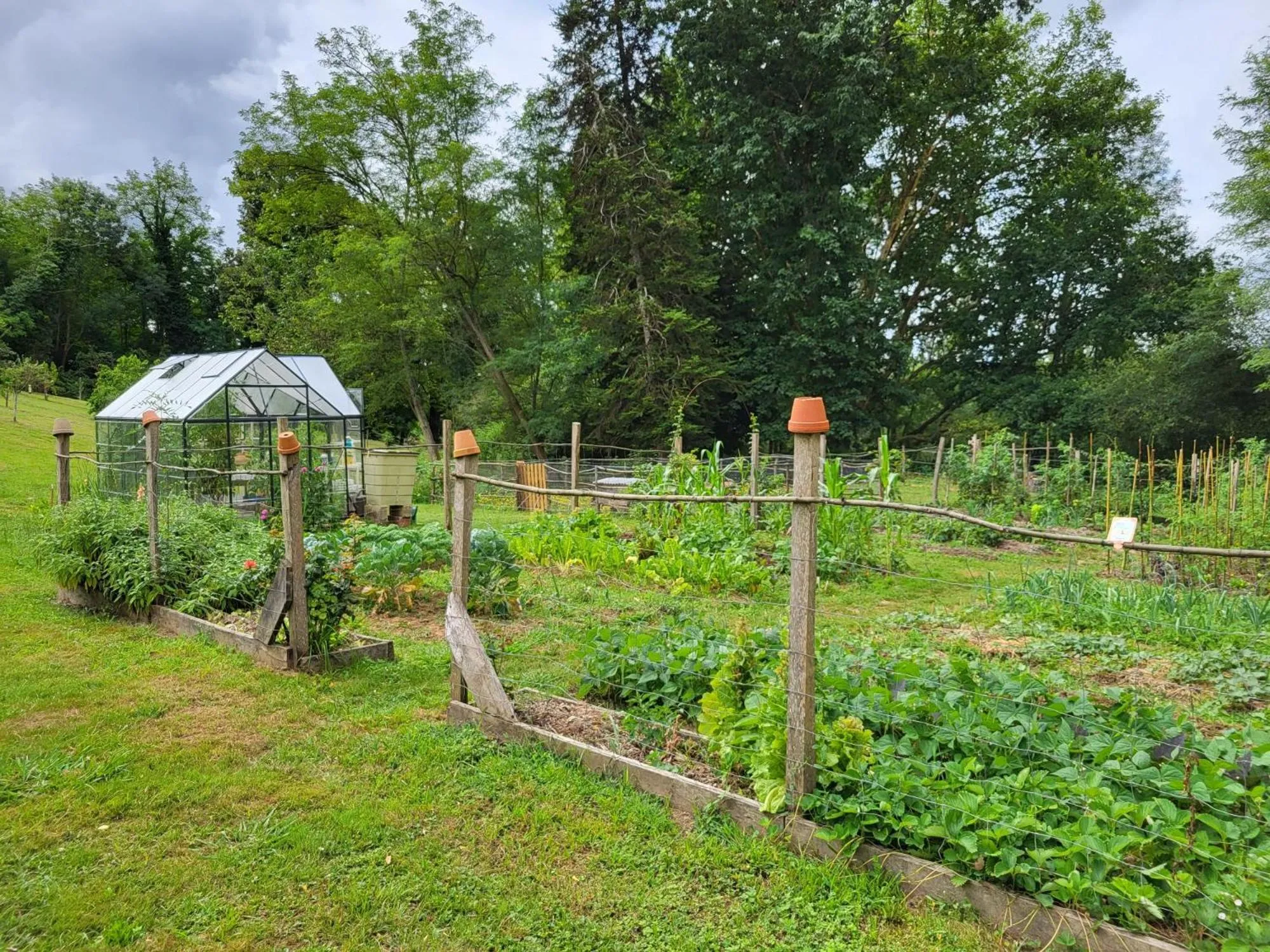 Garden in Logis Hôtel Restaurant Château Bellevue