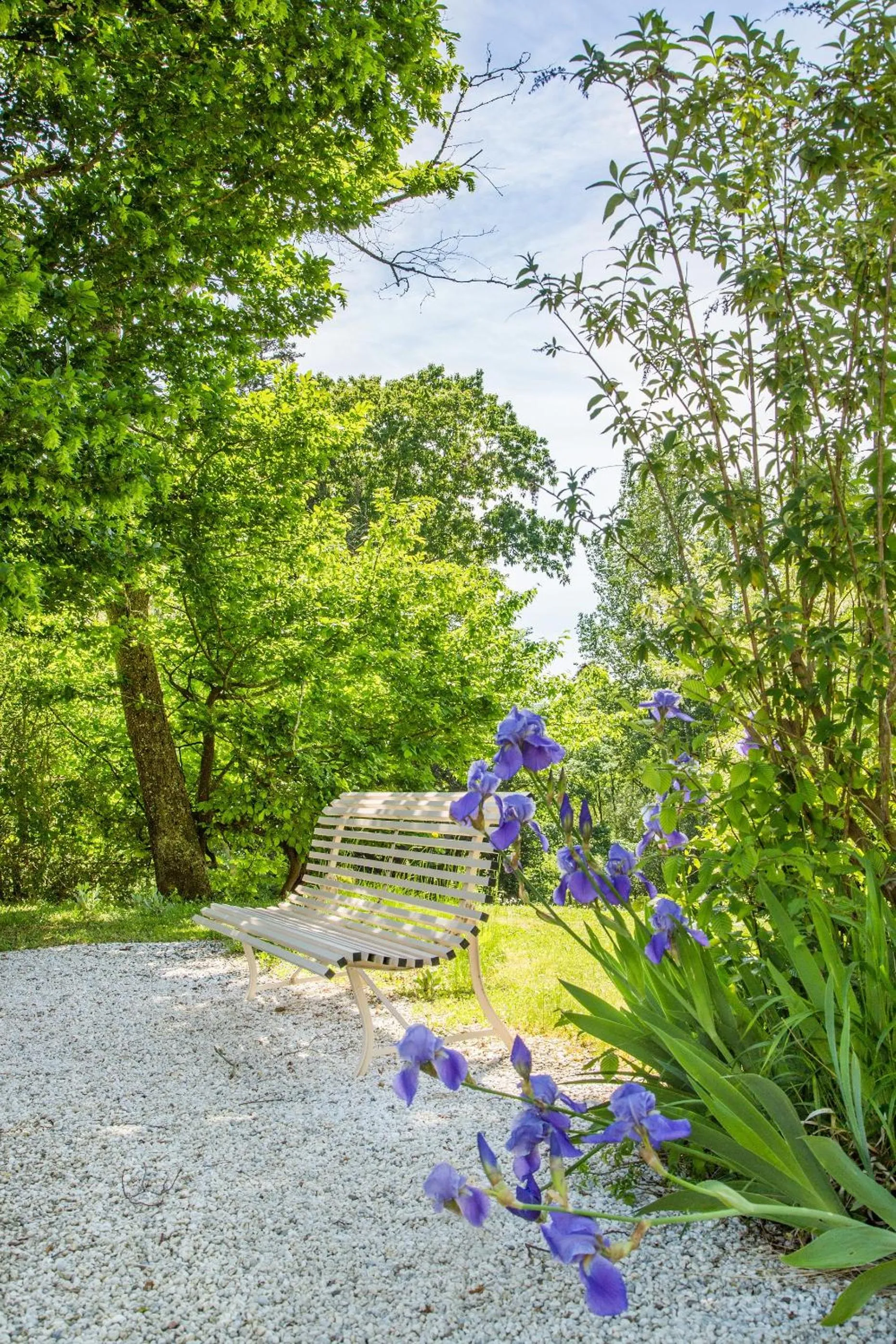 Garden in Logis Hôtel Restaurant Château Bellevue