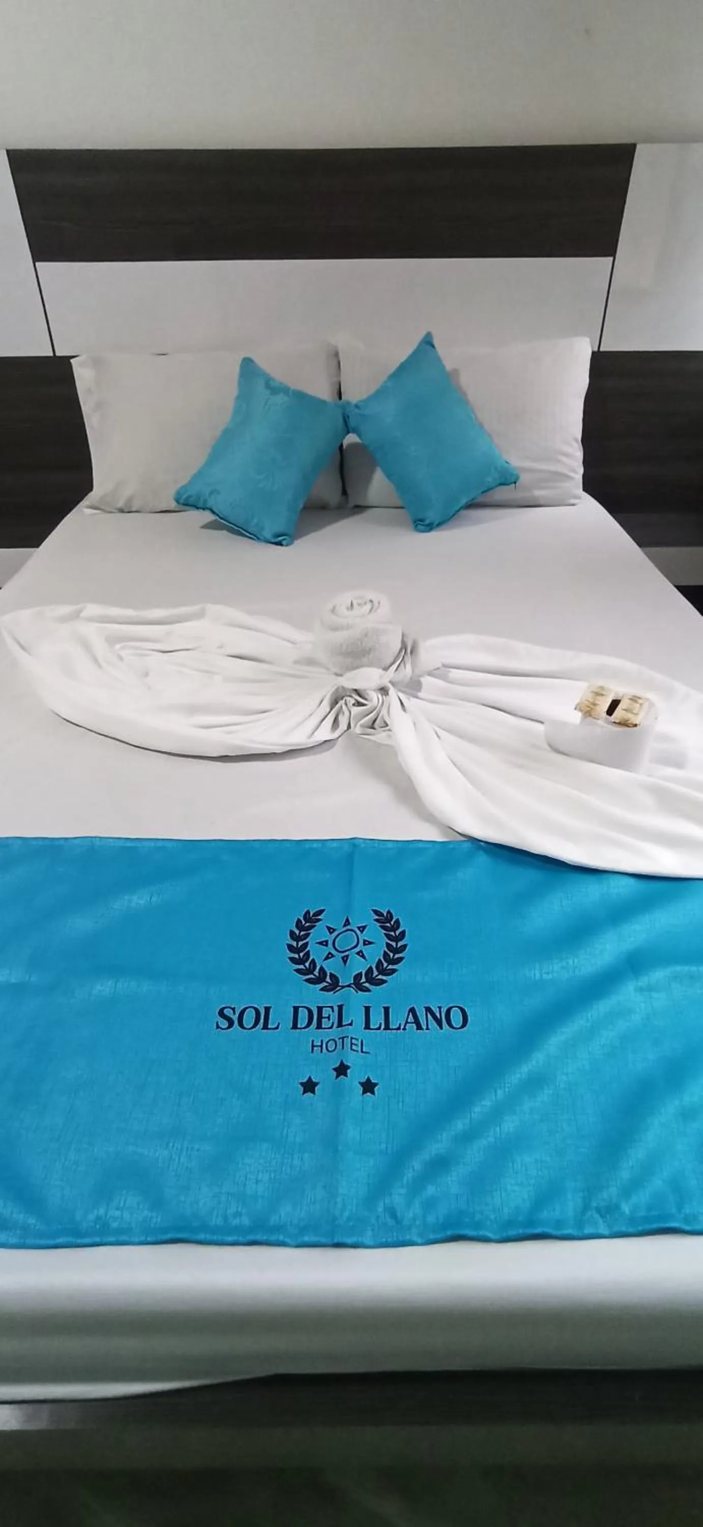 Bed in Hotel Sol Del LLano