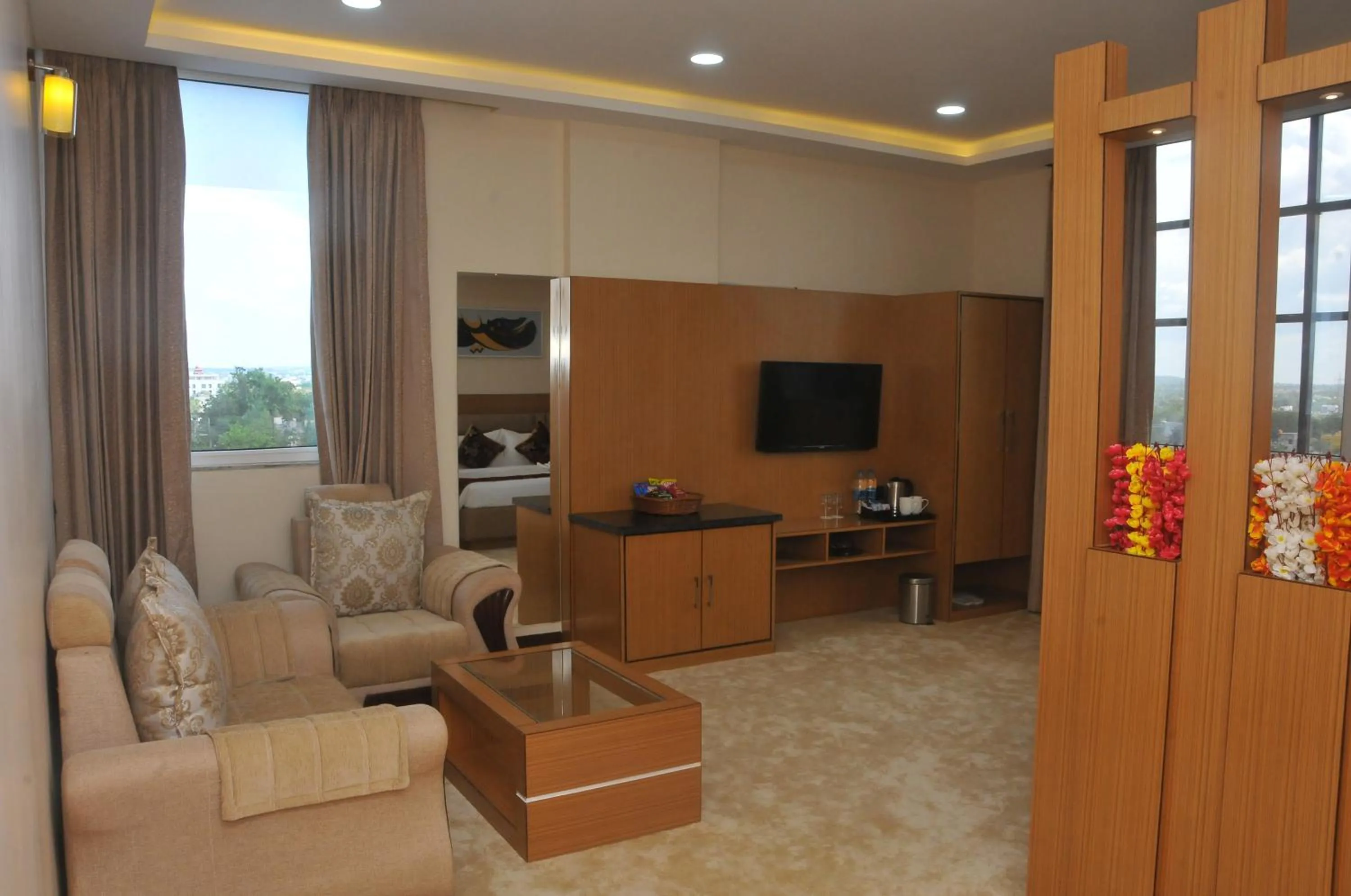 Living room in S R Continental