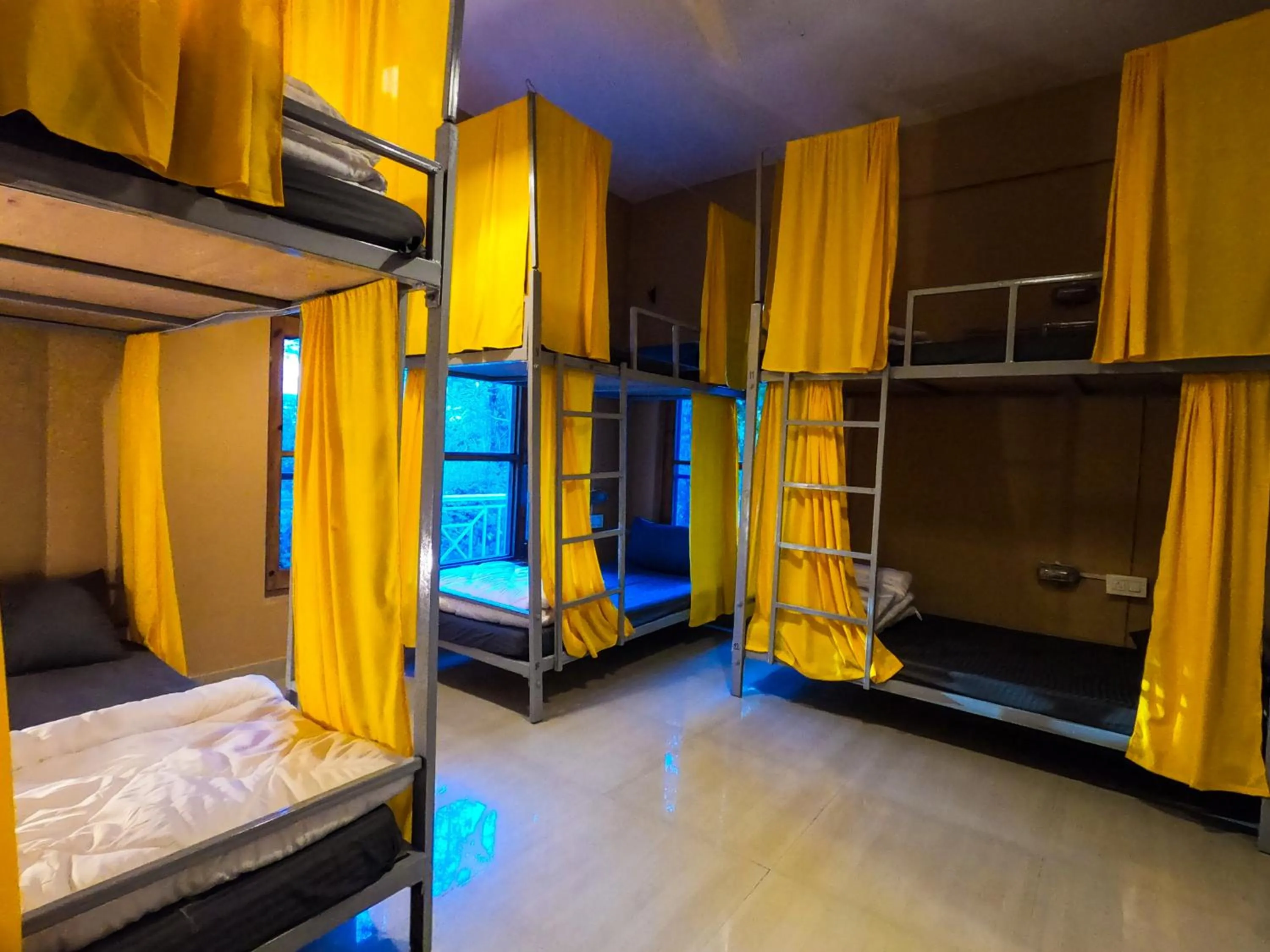 bunk bed, Bed in Whoopers Hostel Bir