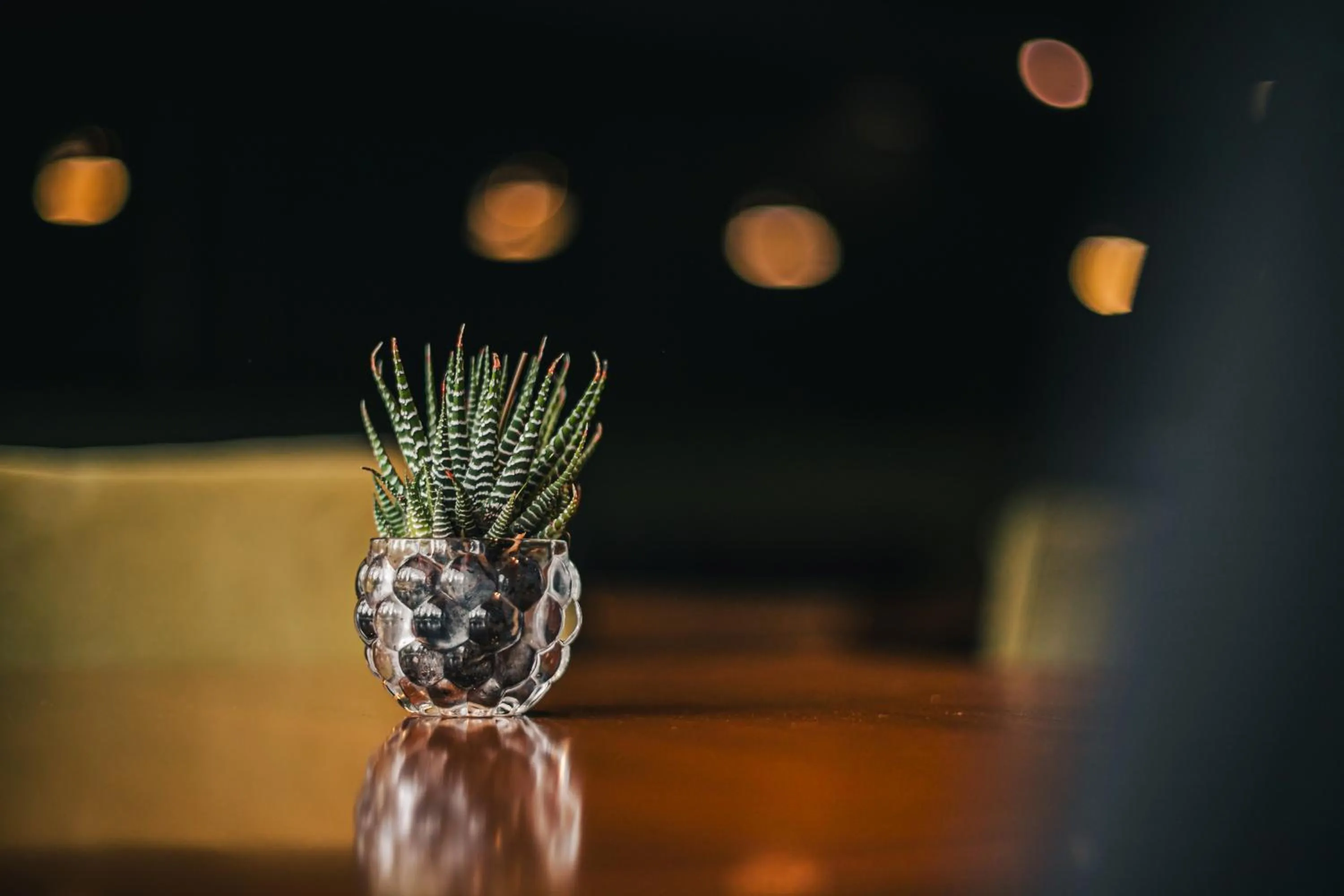 Lounge or bar in Portal Plaza Suites