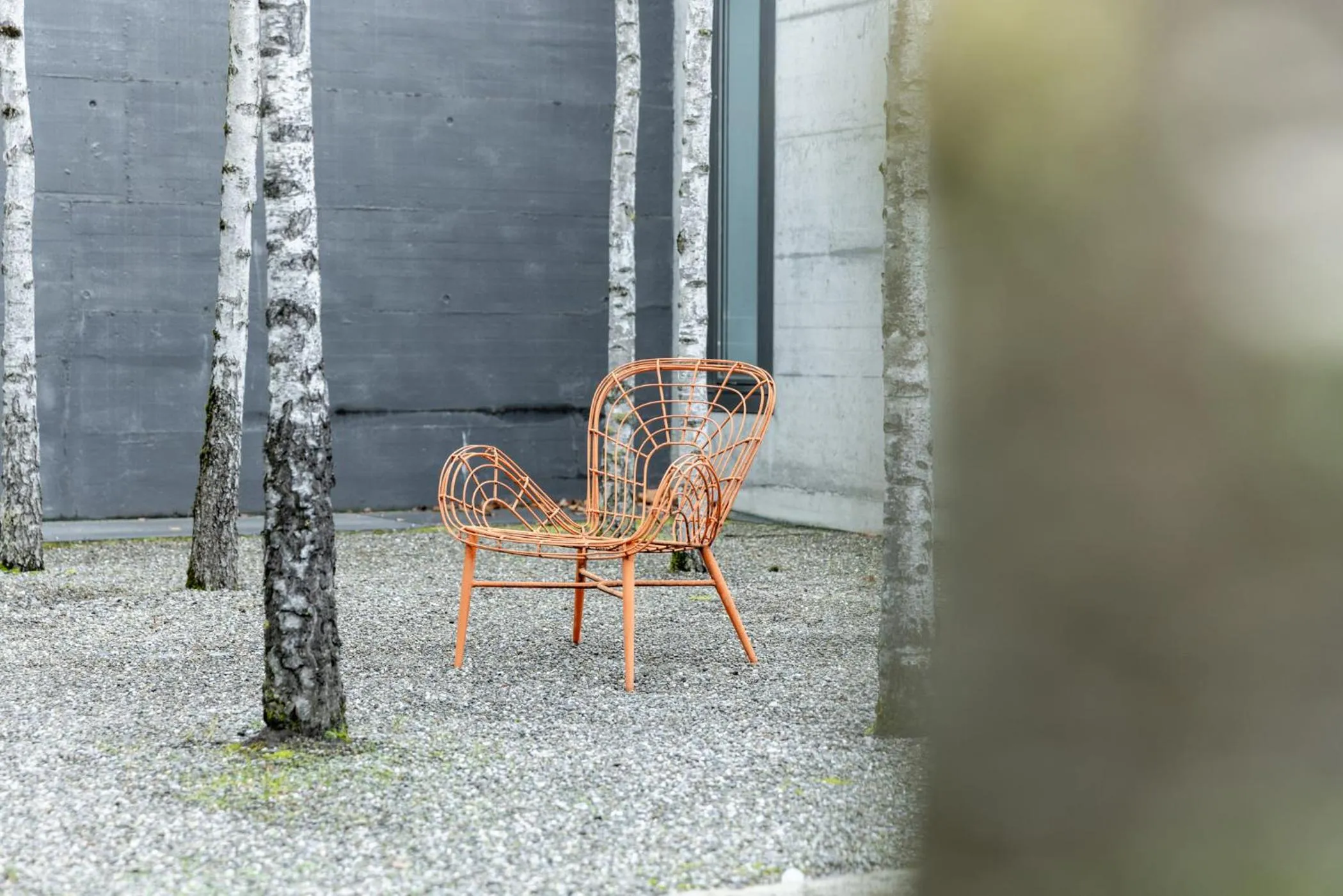 Garden in Greulich Design & Boutique Hotel