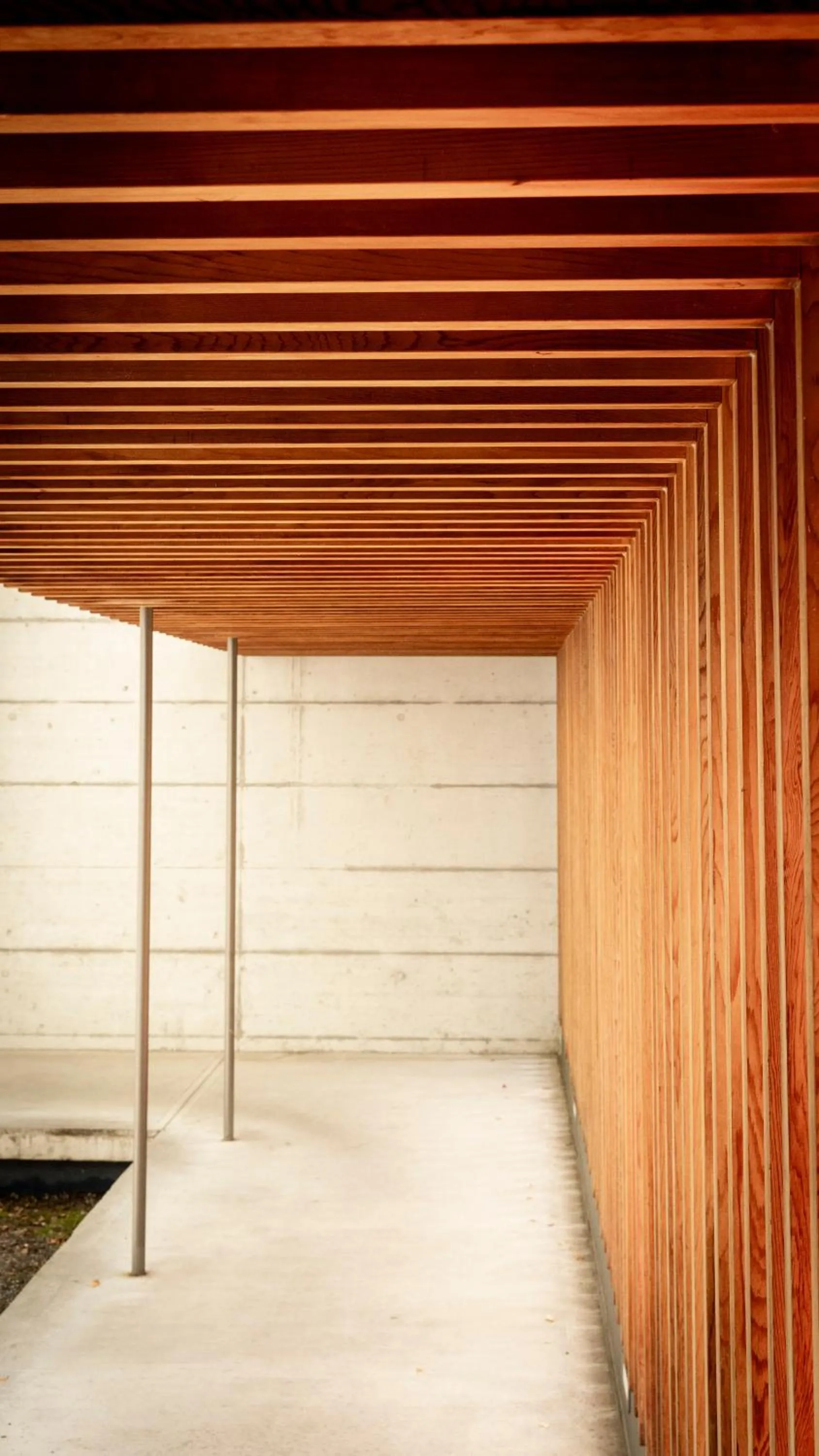 Garden in Greulich Design & Boutique Hotel