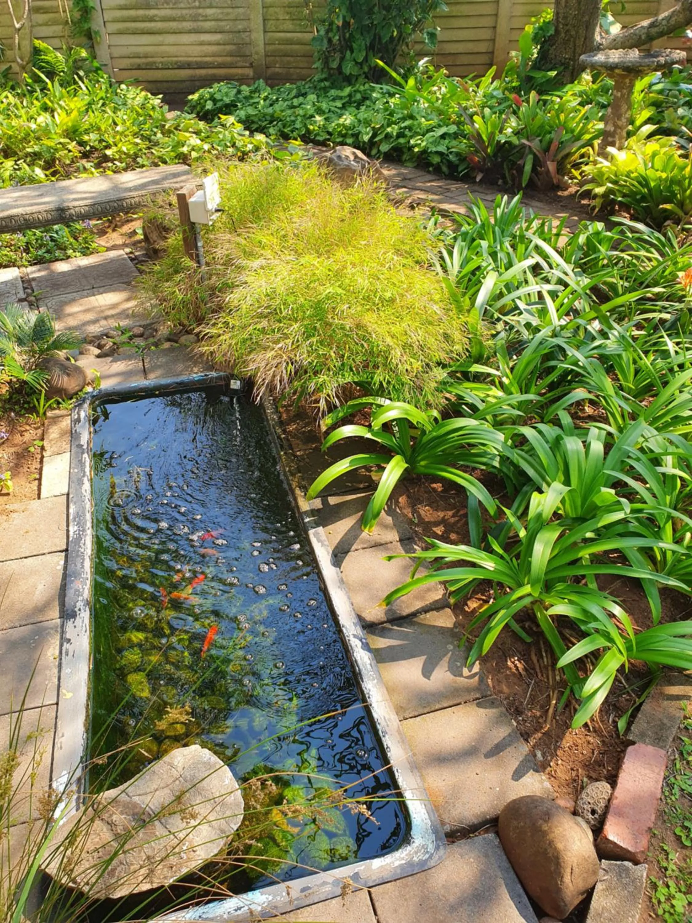 Garden in Weekend Vikings