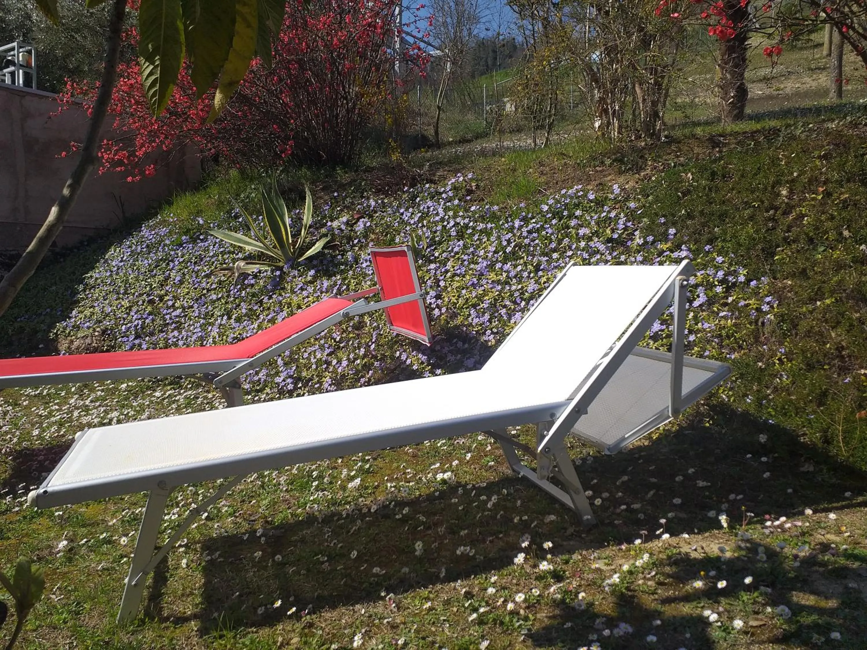 Garden view in B&B le Villette Predappio