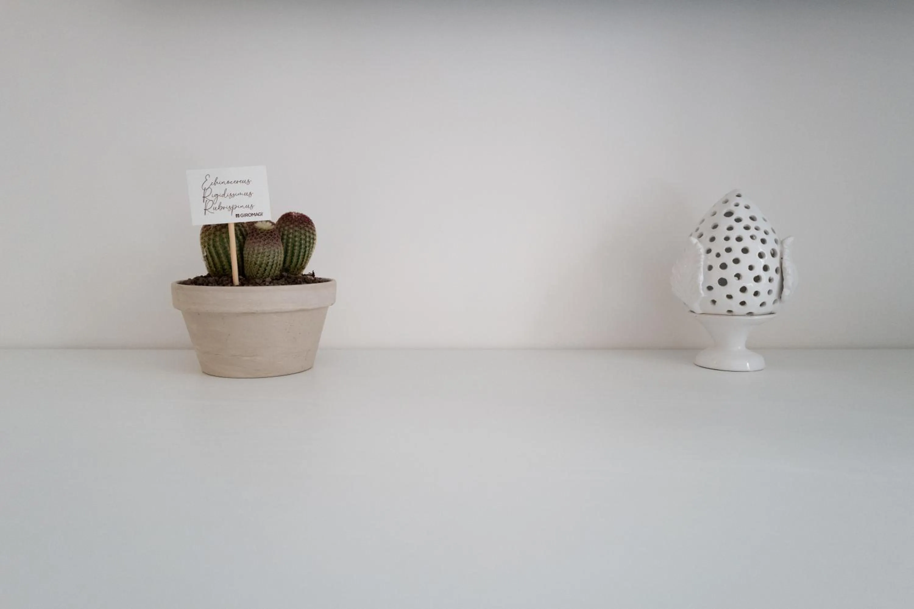 Bed and Breakfast: Nonna Rosa