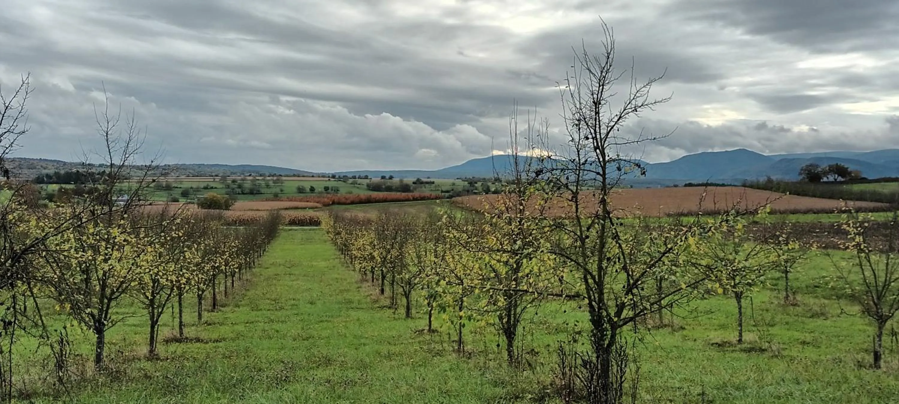 Other in Au jardin de la Maison des Soeurs