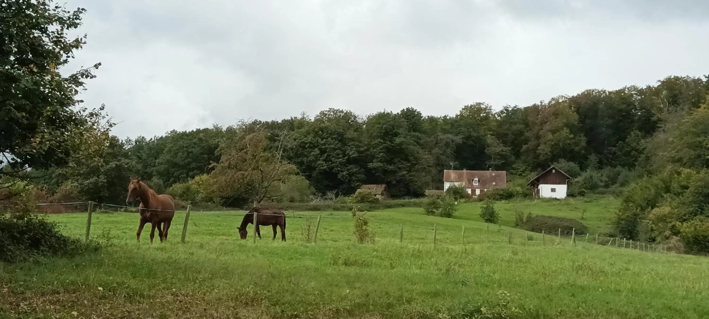 Natural landscape in Au jardin de la Maison des Soeurs