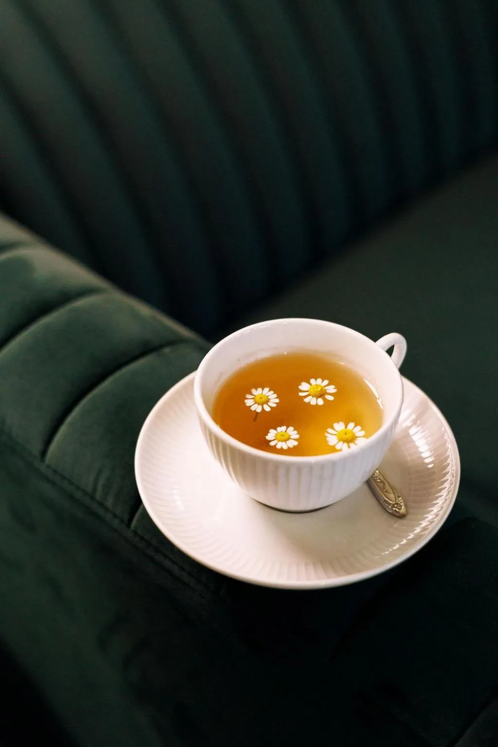 Food and drinks in Hotel de Fleurie - Saint-Germain-des-Pres