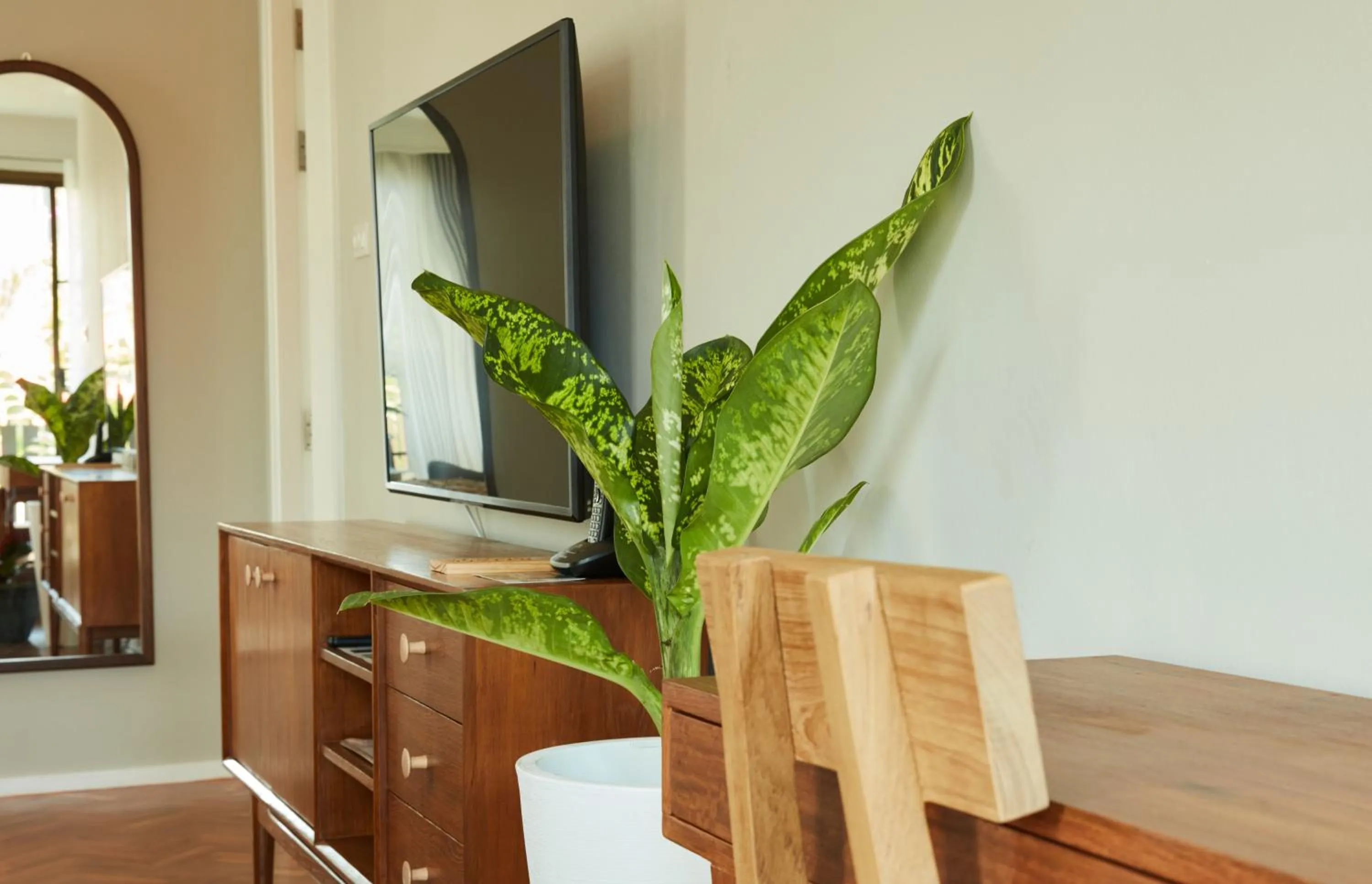 TV and multimedia in Baanrincome