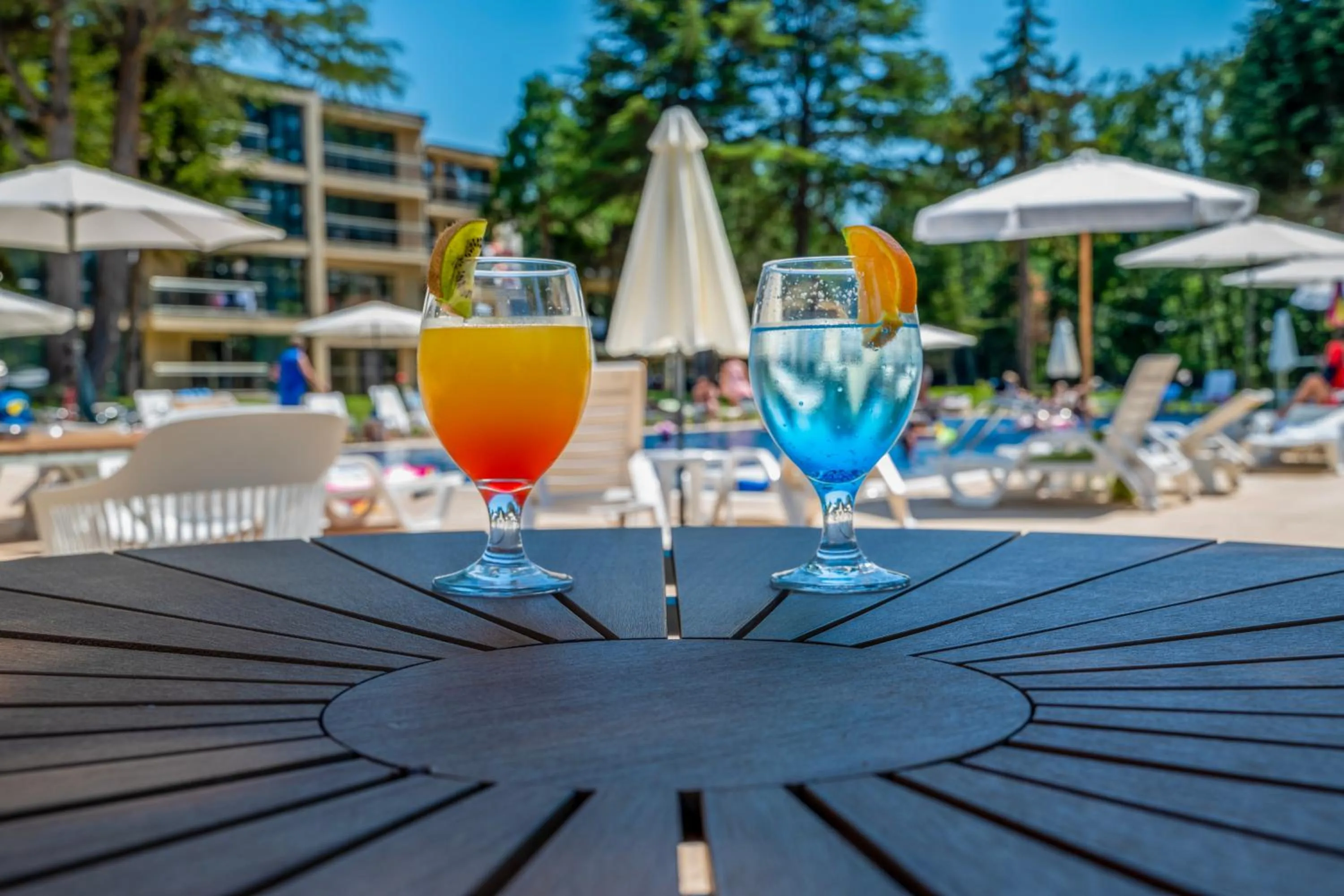 Lounge or bar in Queen Nelly Park