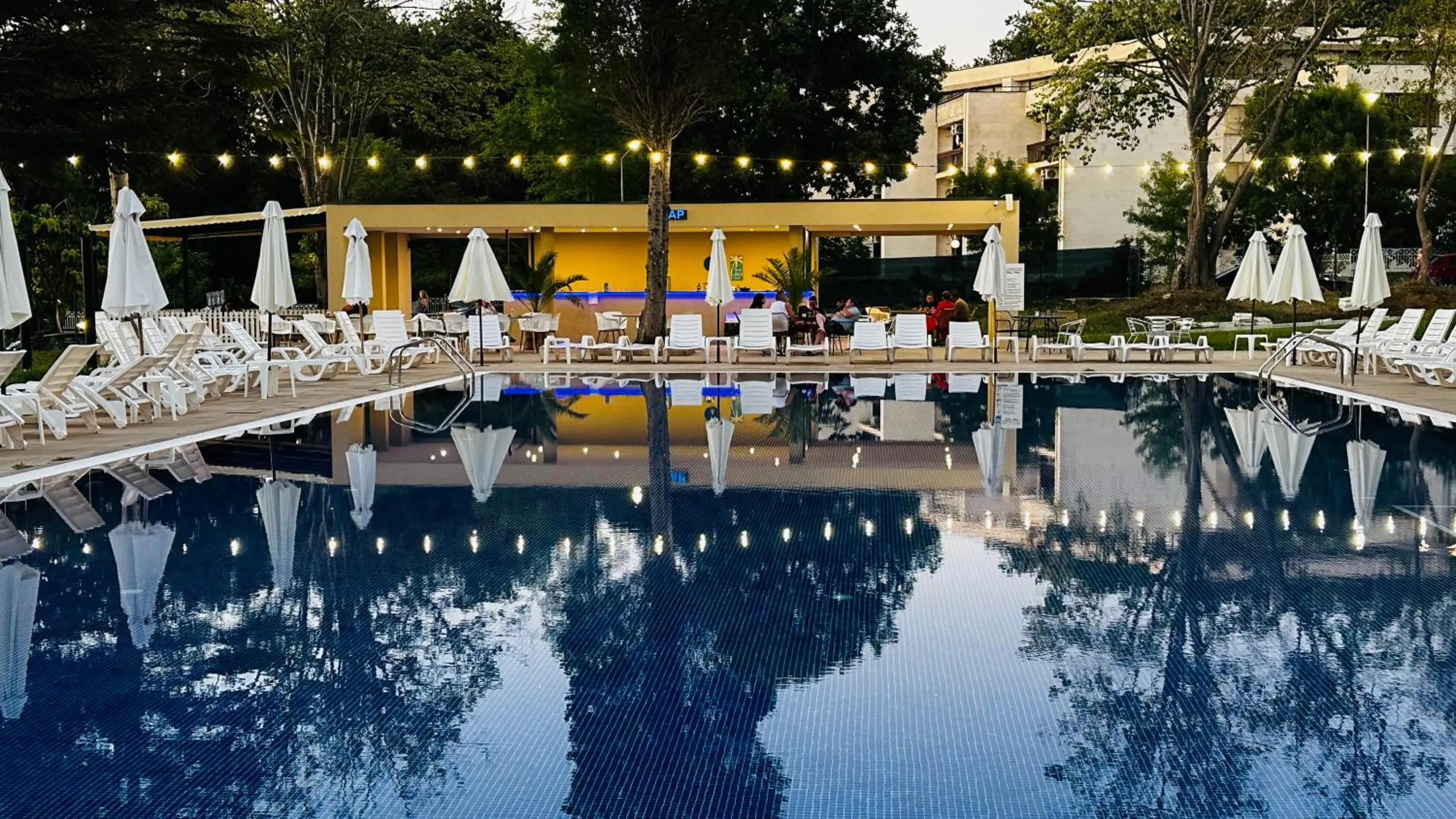 Lounge or bar in Queen Nelly Park